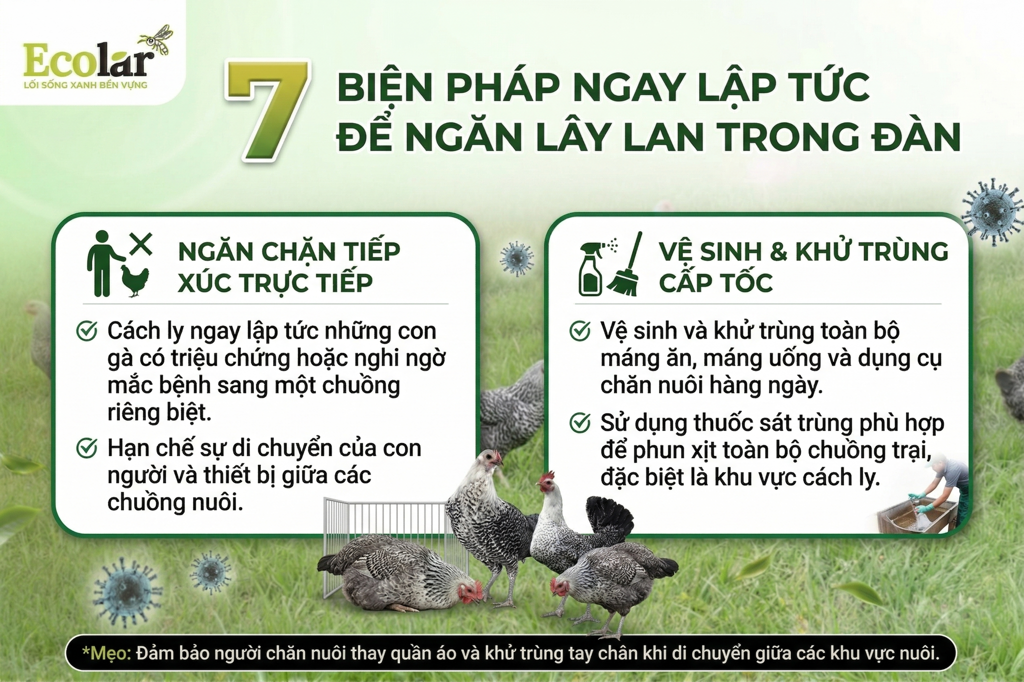 gay-lap-tuc-de-ngan-lay-lan-trong-dan_d99f244be2ca48d99730786f2c9661b4.png