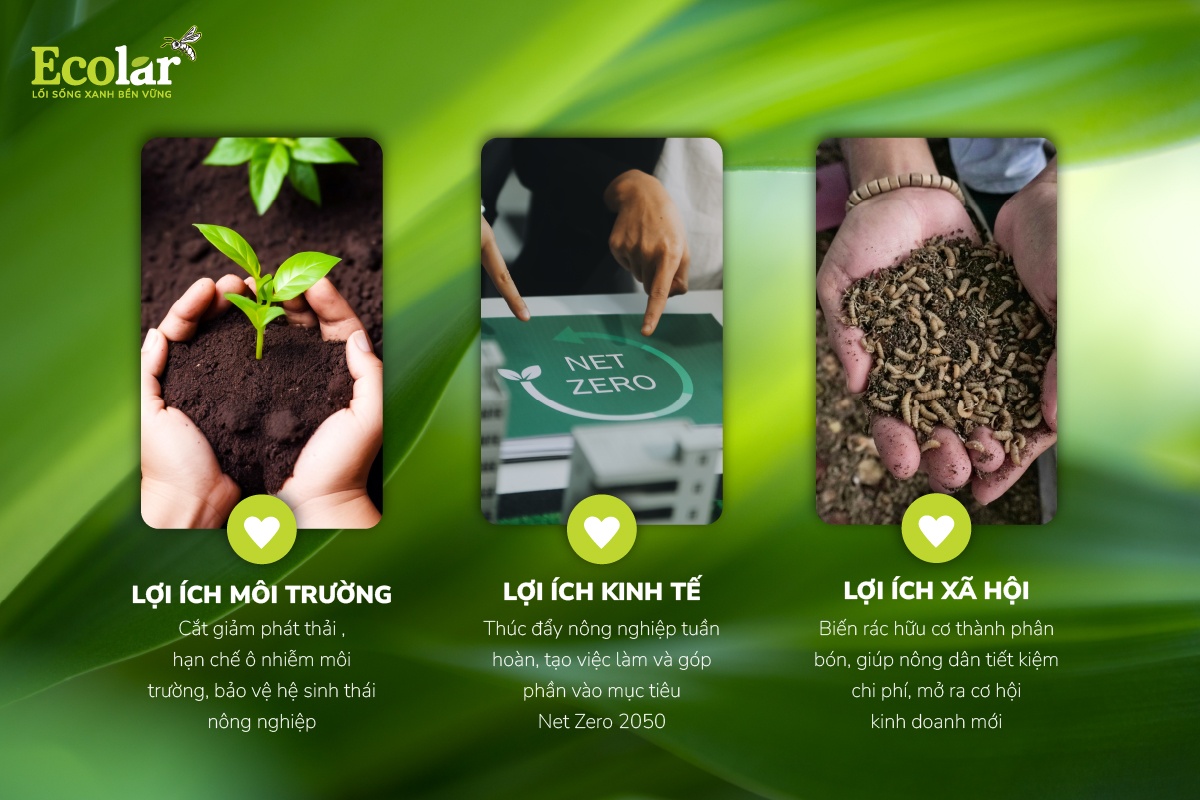 Giá trị bền vững mà BSFly mang lại