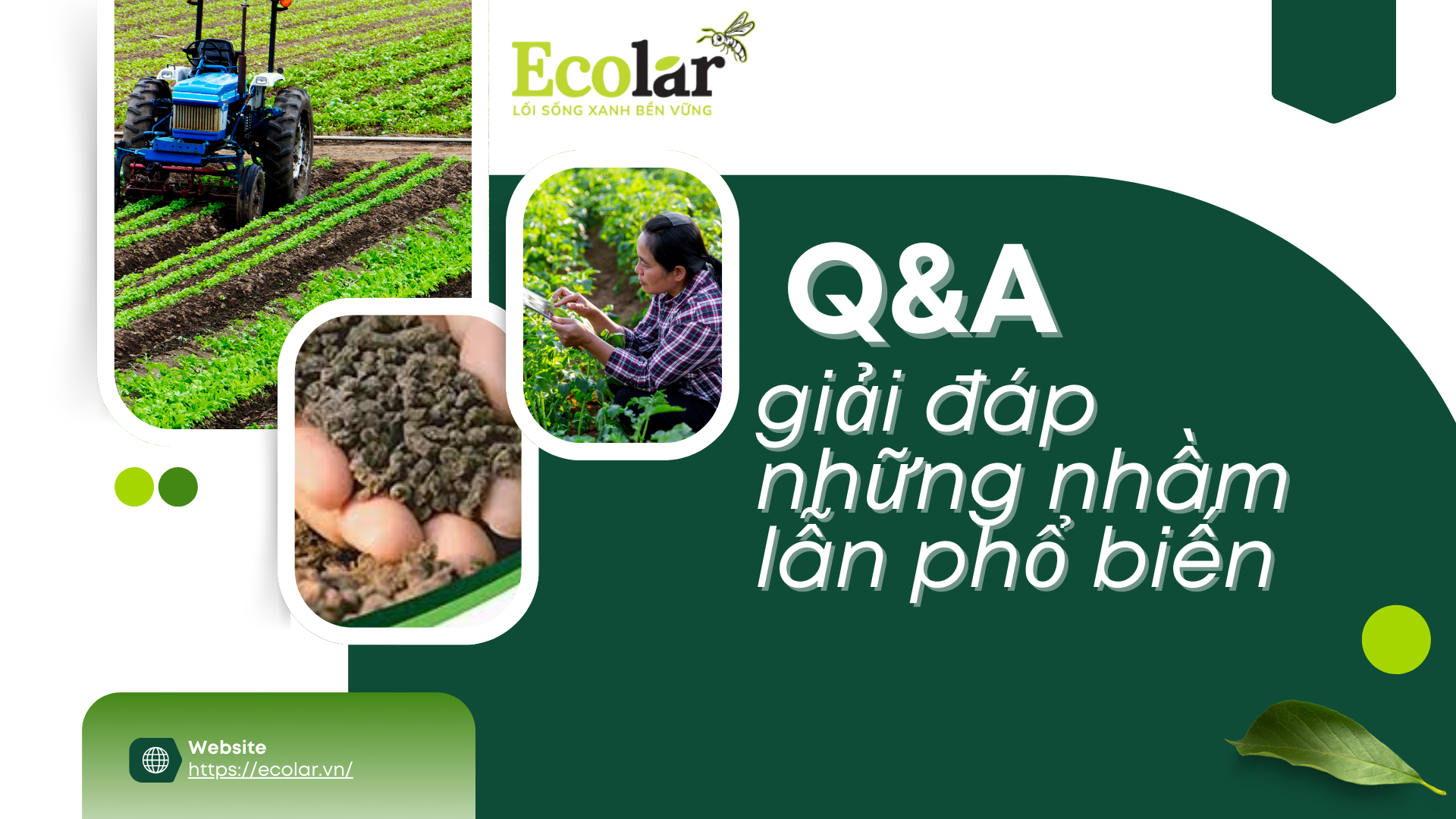 8 QA-giai-dap-nhanh-nhung-sai-lam-pho-bien