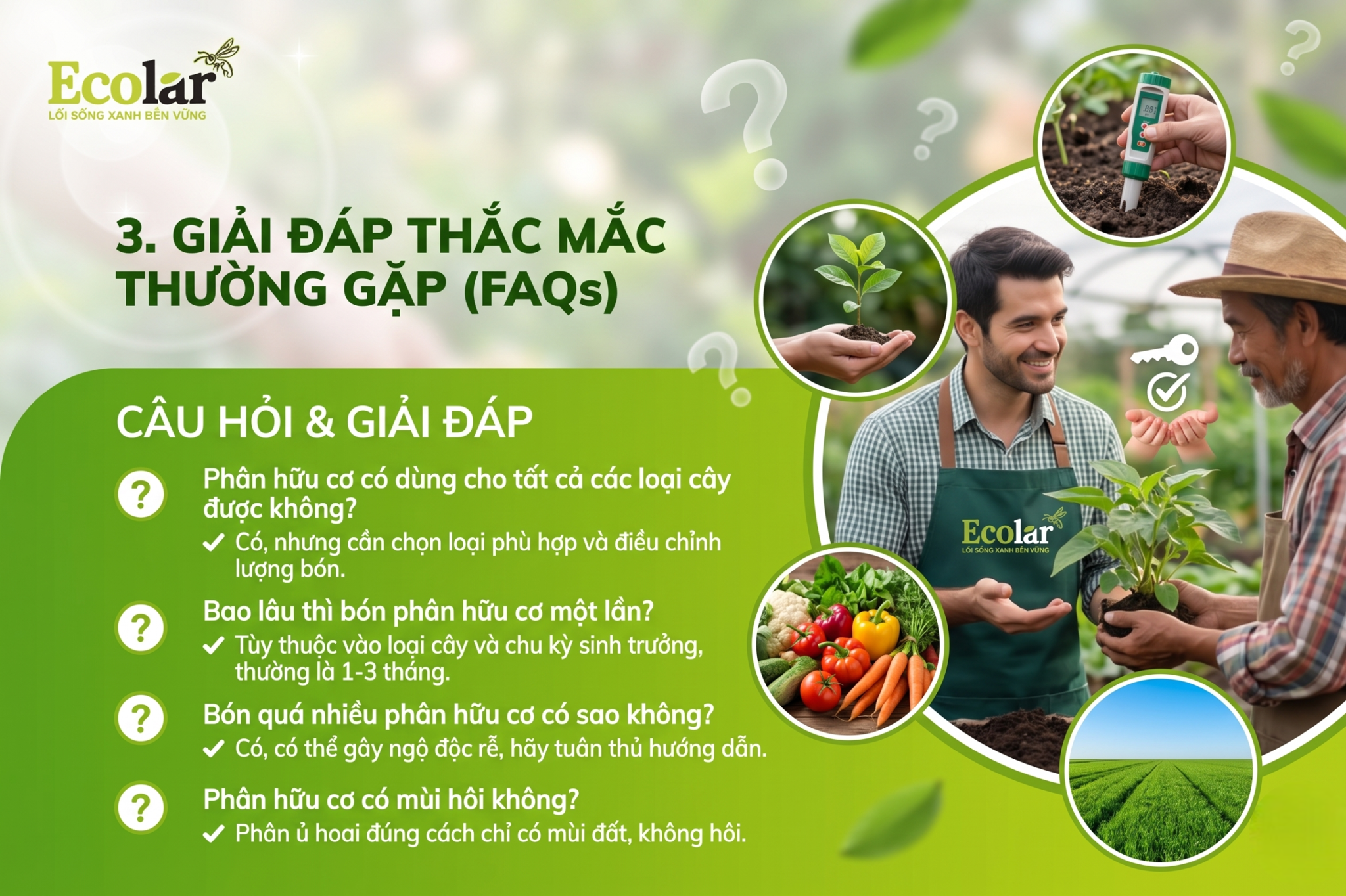 Giải Đáp Thắc Mắc Thường Gặp (FAQs)