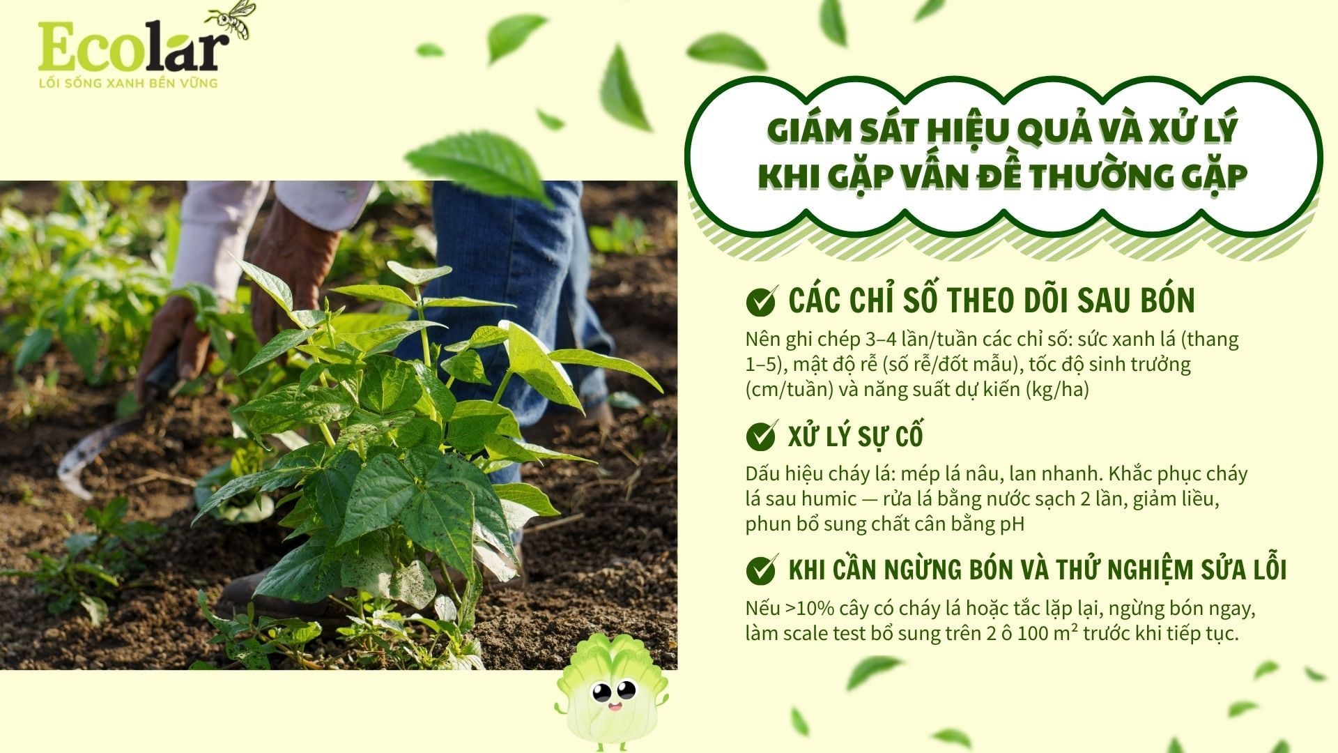 Giám sát hiệu quả