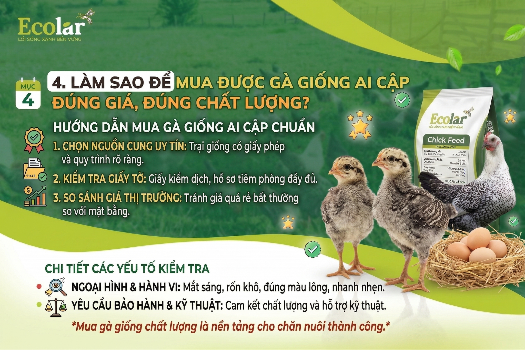 giong-ai-cap-dung-gia-dung-chat-luong_b891b0d9f24e440480b4c50666f0324b.png