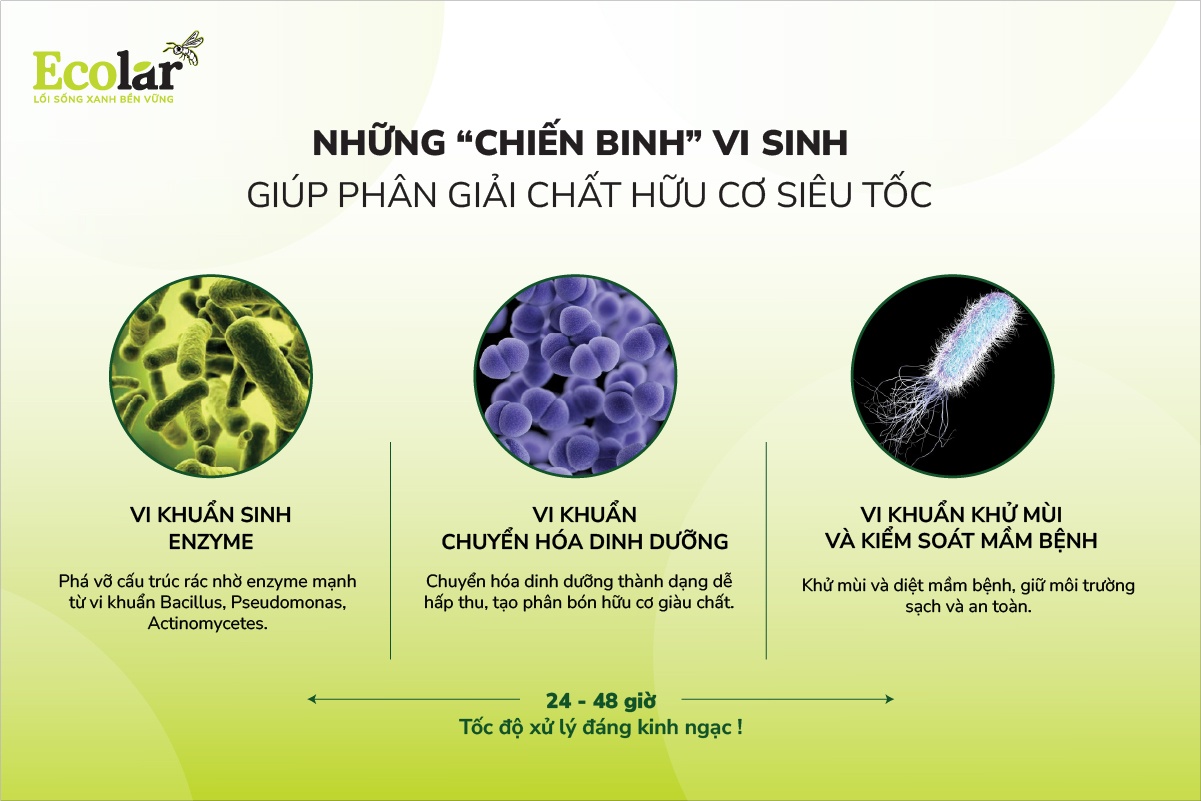 Những “chiến binh” vi sinh giúp phân giải chất hữu cơ siêu tốc