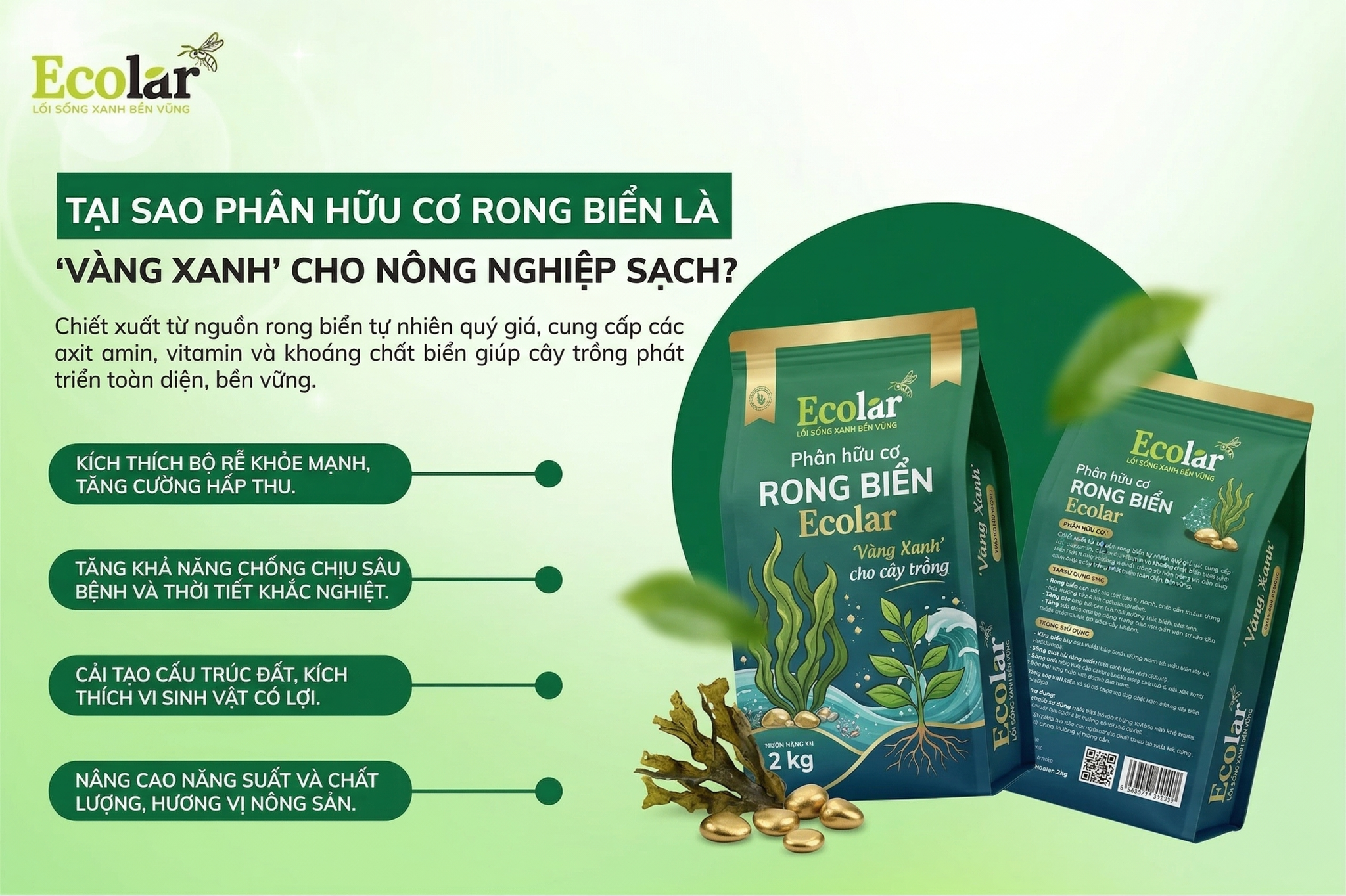 Tại Sao Phân Hữu Cơ Từ Rong Biển Được Mệnh Danh Là 'Vàng Xanh' Trong Nông Nghiệp Sạch?
