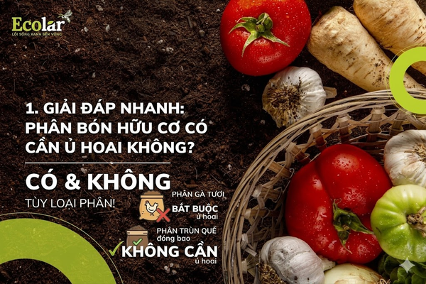 Giải Đáp Nhanh: Phân Bón Hữu Cơ Có Cần Ủ Hoai Không?