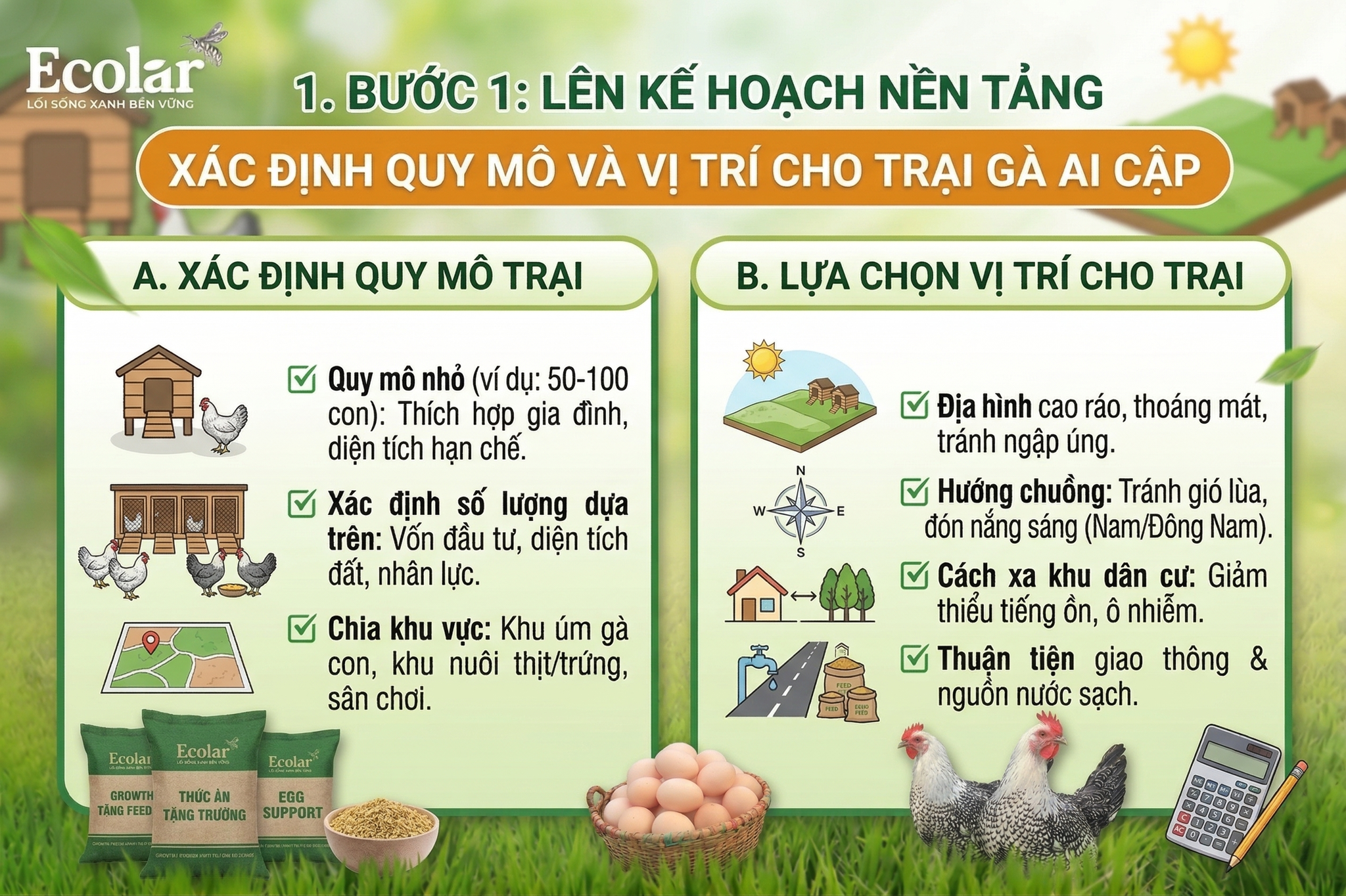Lên Kế Hoạch Nền Tảng - Xác Định Quy Mô và Vị Trí Cho Trại Gà Ai Cập