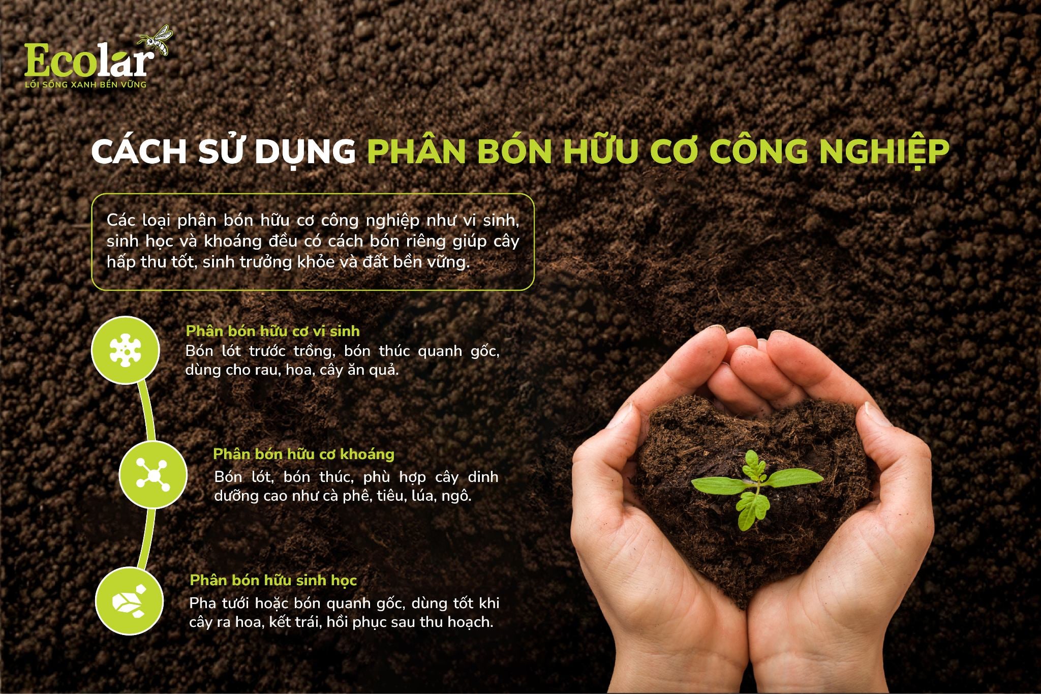 h-su-dung-phan-bon-huu-co-cong-nghiep_108675e41cba4d0cac93068b0b9febbe.jpg