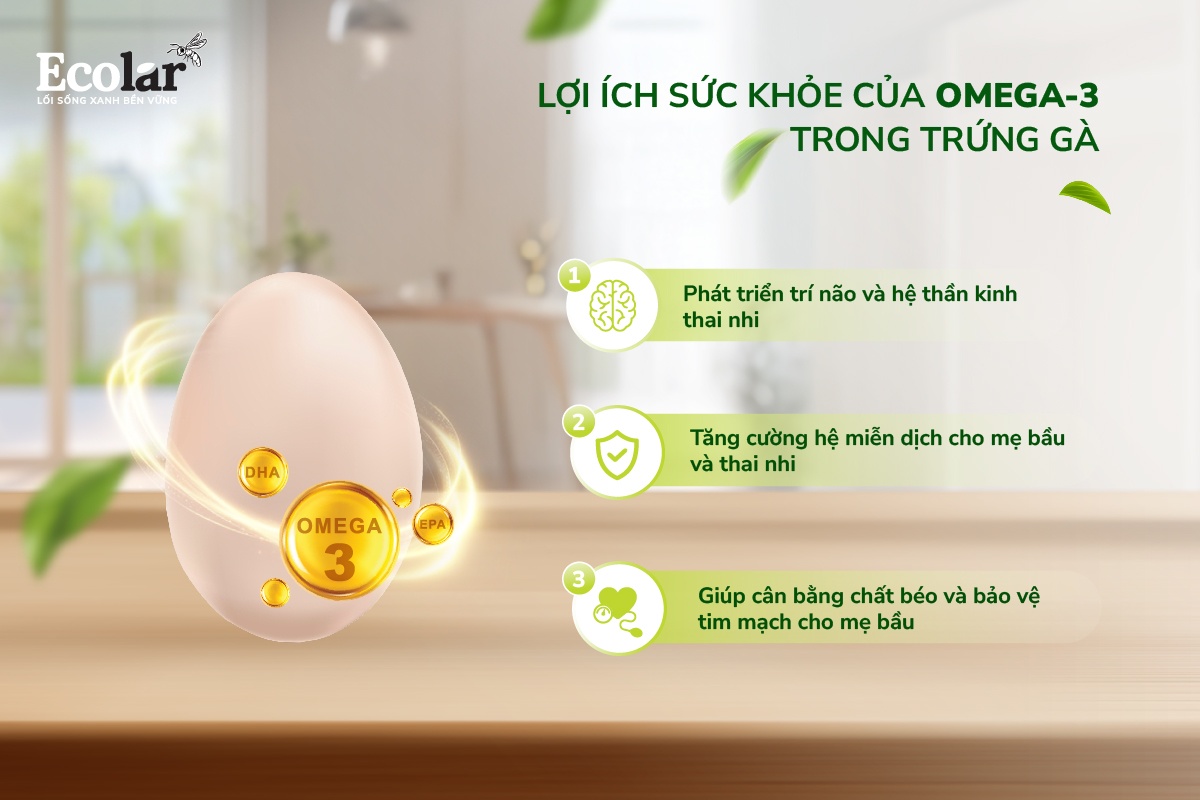 Lợi ích của mẹ bầu khi sử dụng trứng gà thảo mộc Ecolar