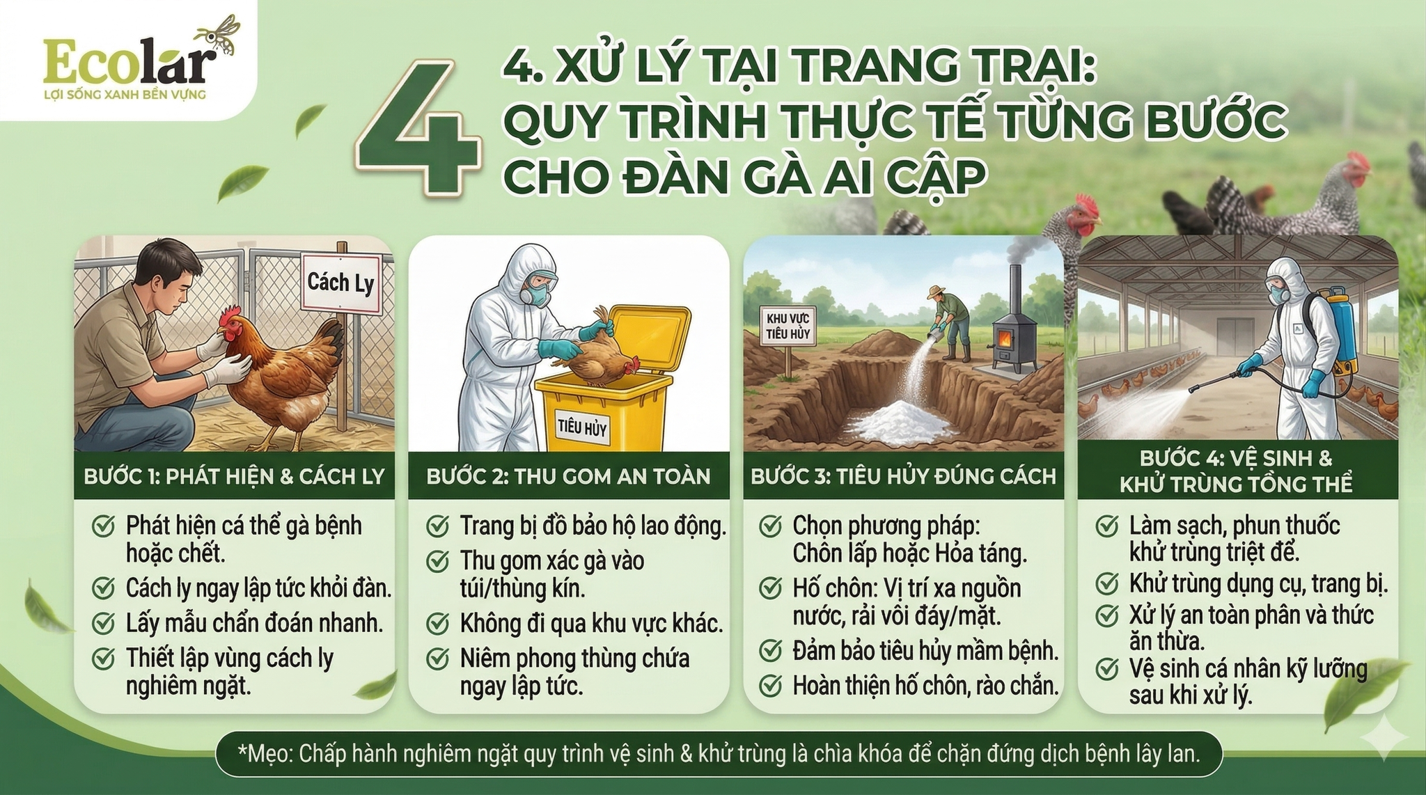 h-thuc-te-tung-buoc-cho-dan-ga-ai-cap_a2798999a3784fef9b16e9f6b9a3f226.png