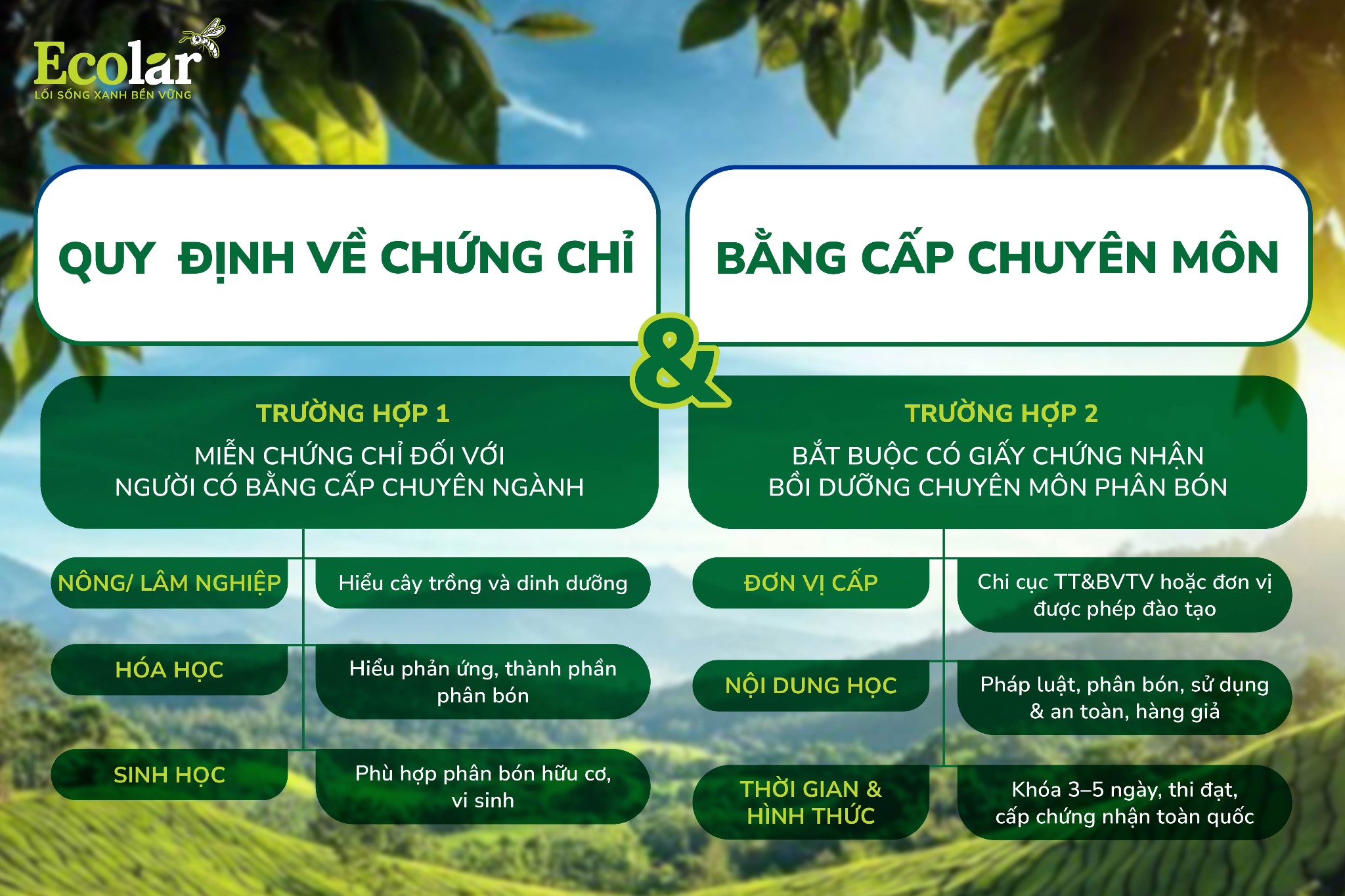 quy định