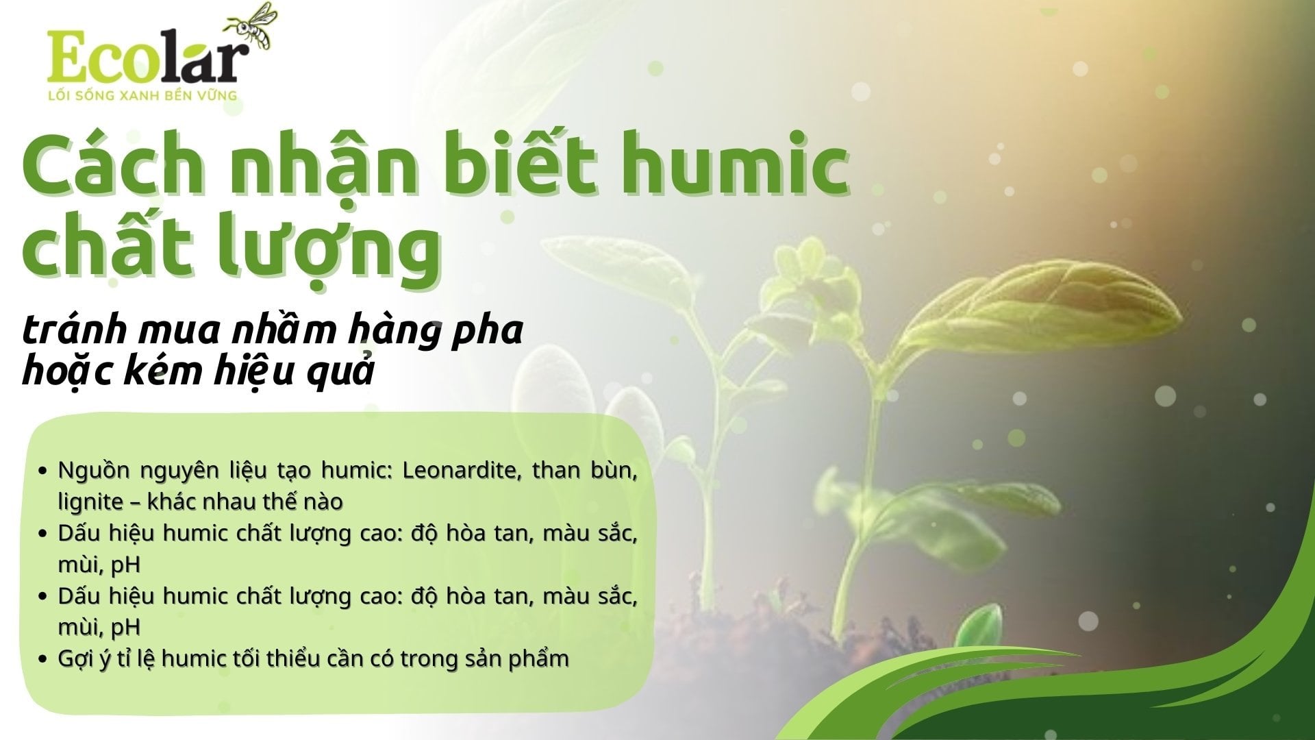 Cách nhận biết humic chất lượng_ Tránh mua nhầm hàng pha hoặc kém hiệu quả
