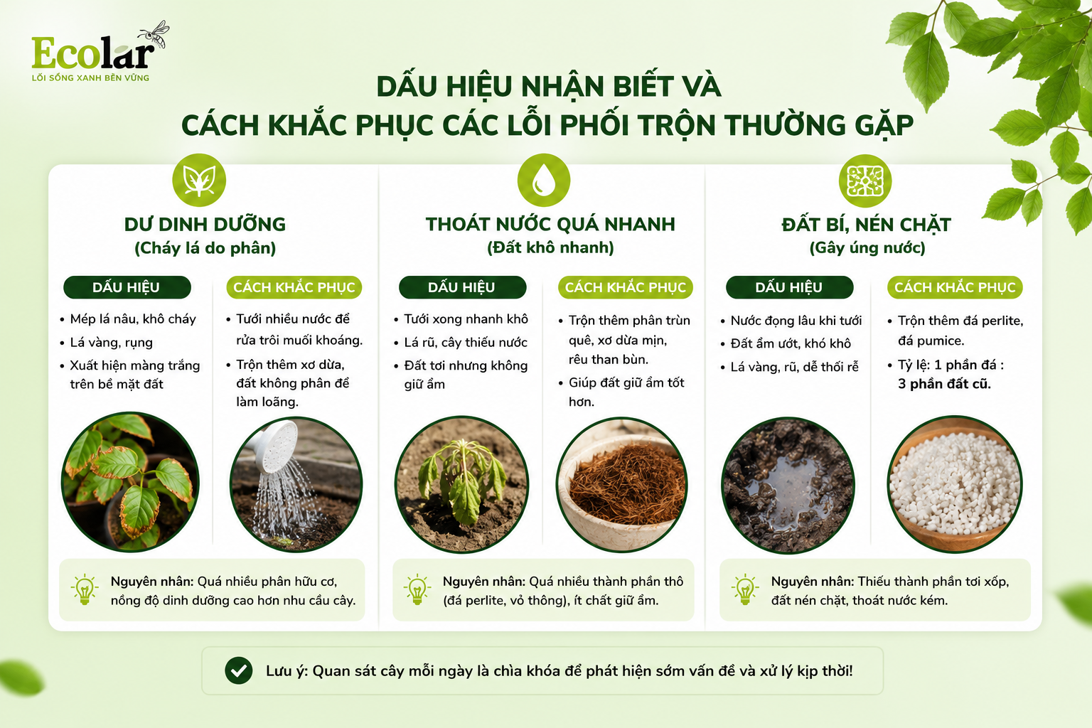 Dấu Hiệu Nhận Biết và Cách Khắc Phục Các Lỗi Phối Trộn Thường Gặp