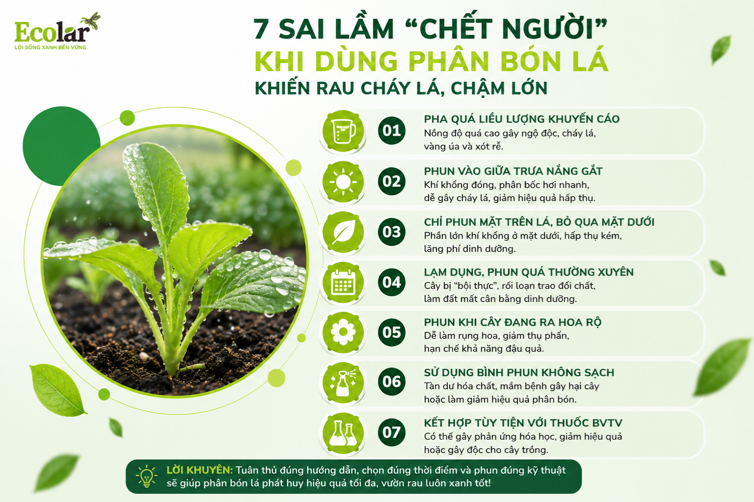7 Sai Lầm 'Chết Người' Khi Dùng Phân Bón Lá Khiến Rau Cháy Lá, Chậm Lớn