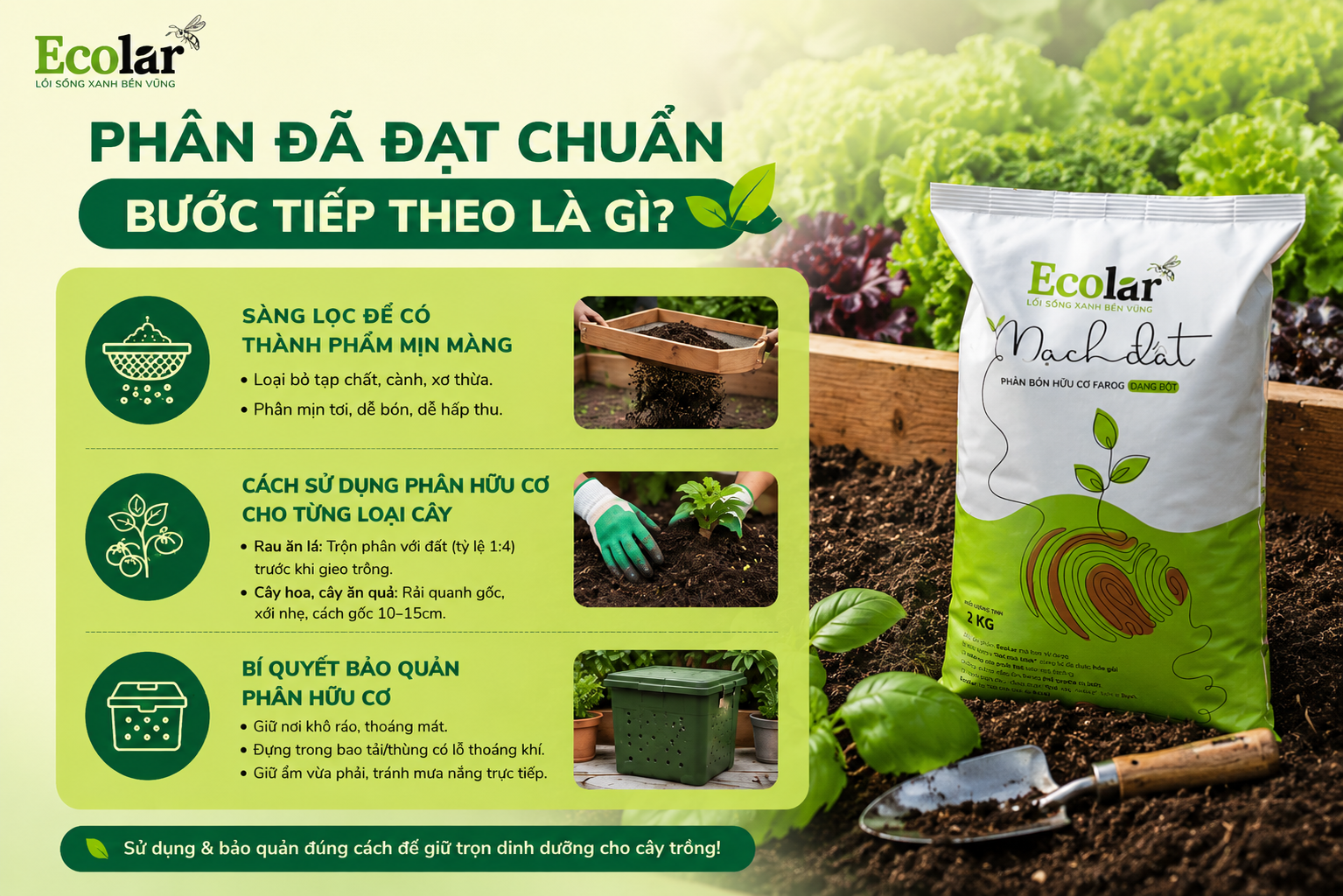 Phân Đã Đạt Chuẩn - Bước Tiếp Theo Là Gì?