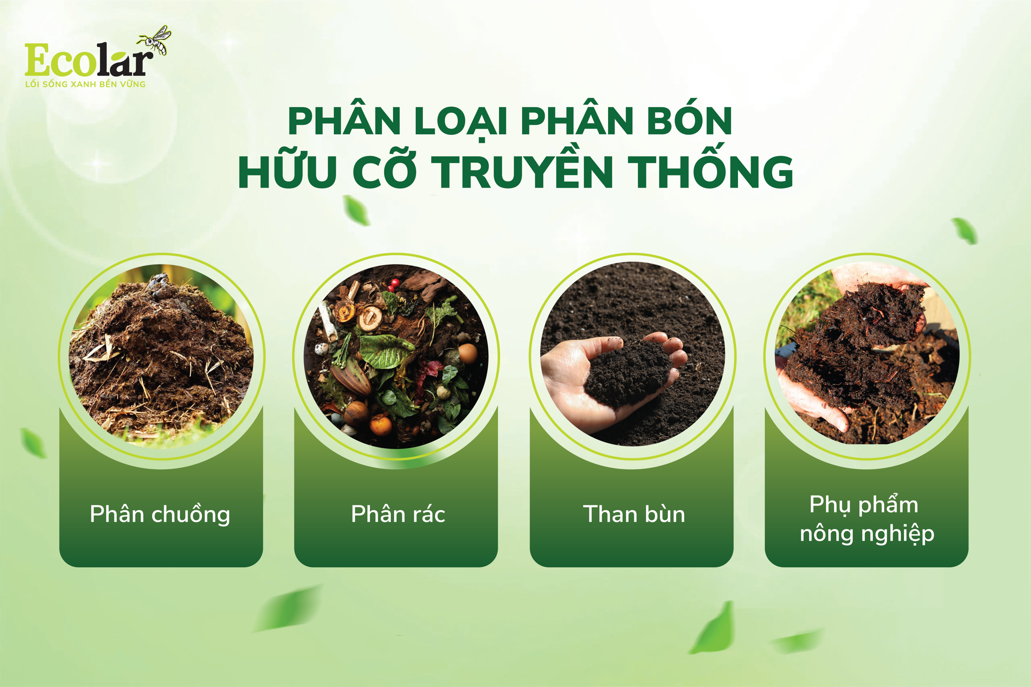 han-loai-phan-bon-huu-co-truyen-thong_33de47d3dc8a448484e437c14c68df7c.png