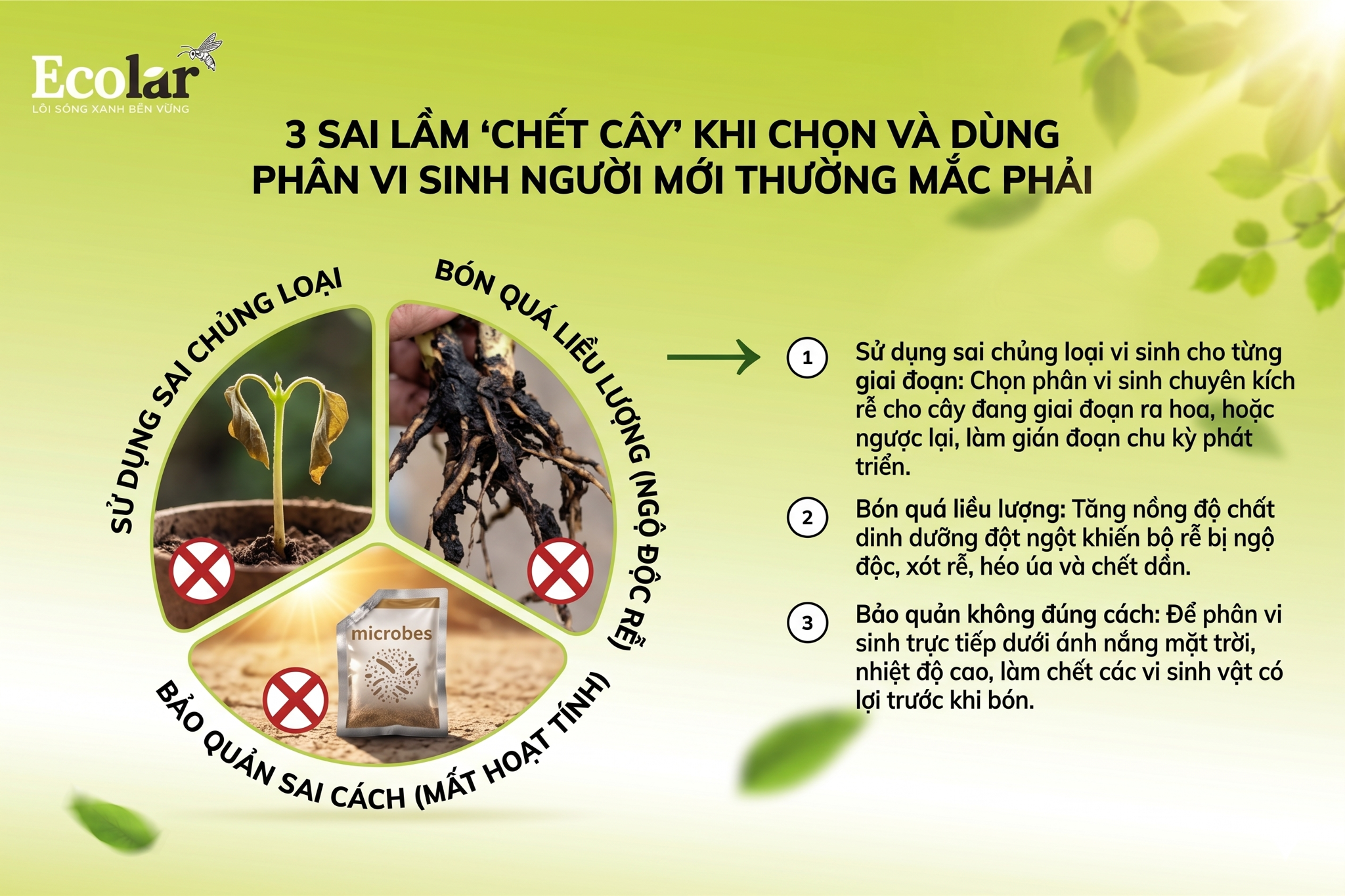 3 Sai Lầm 'Chết Cây' Khi Chọn và Dùng Phân Vi Sinh Người Mới Thường Mắc Phải