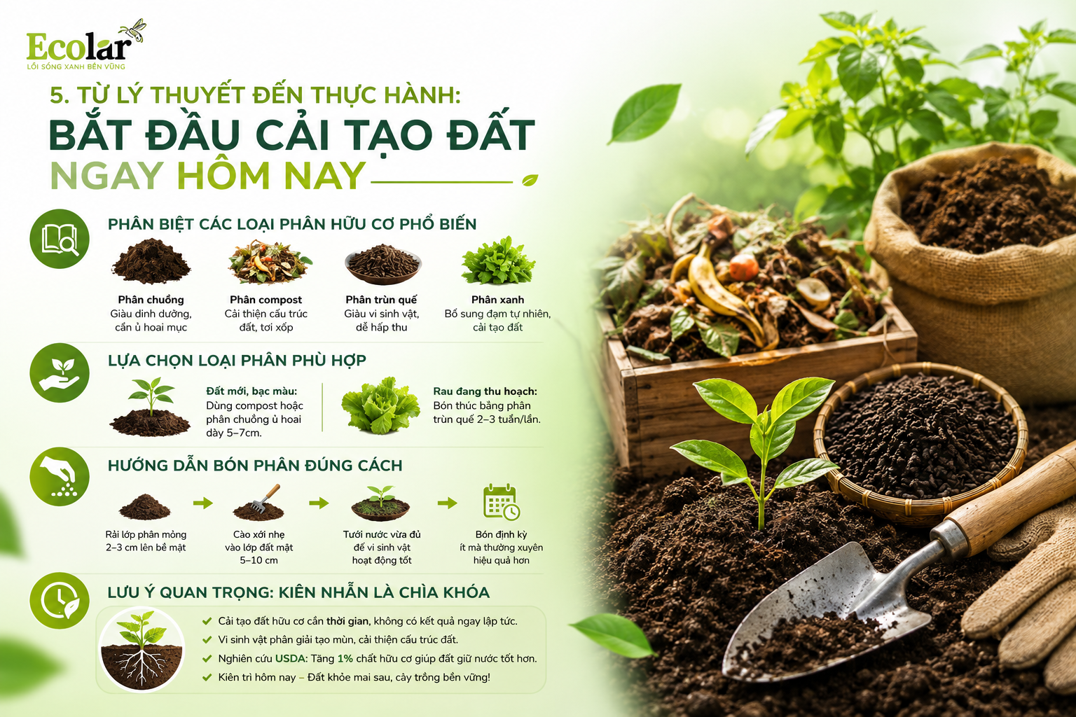 Từ Lý Thuyết Đến Thực Hành: Bắt Đầu Cải Tạo Đất Ngay Hôm Nay