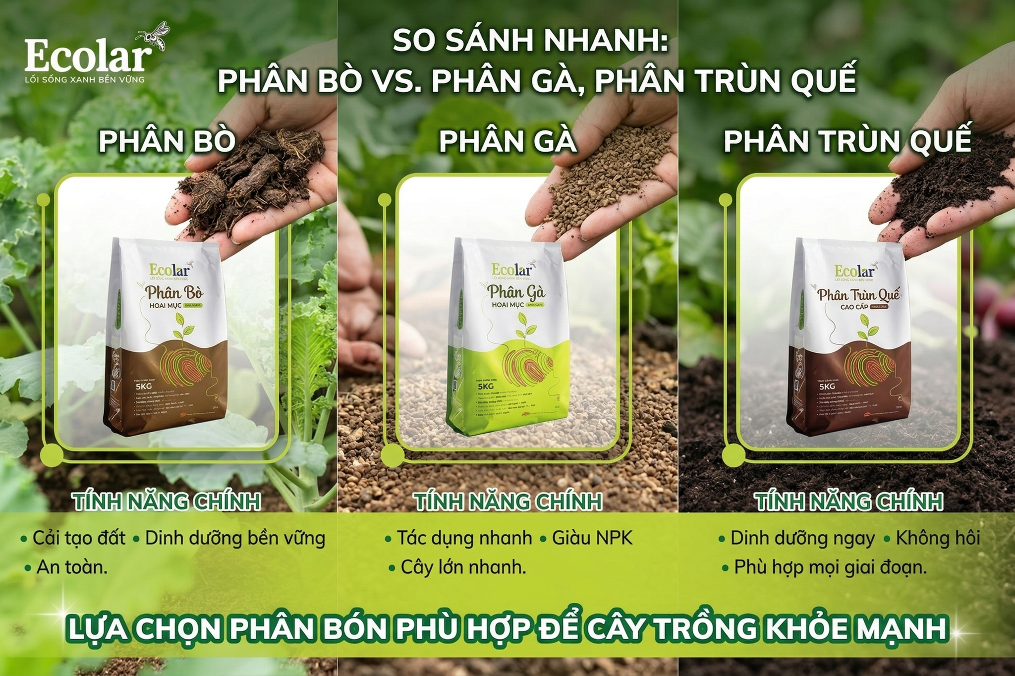 So sánh nhanh: Phân bò vs. Phân gà, Phân trùn quế