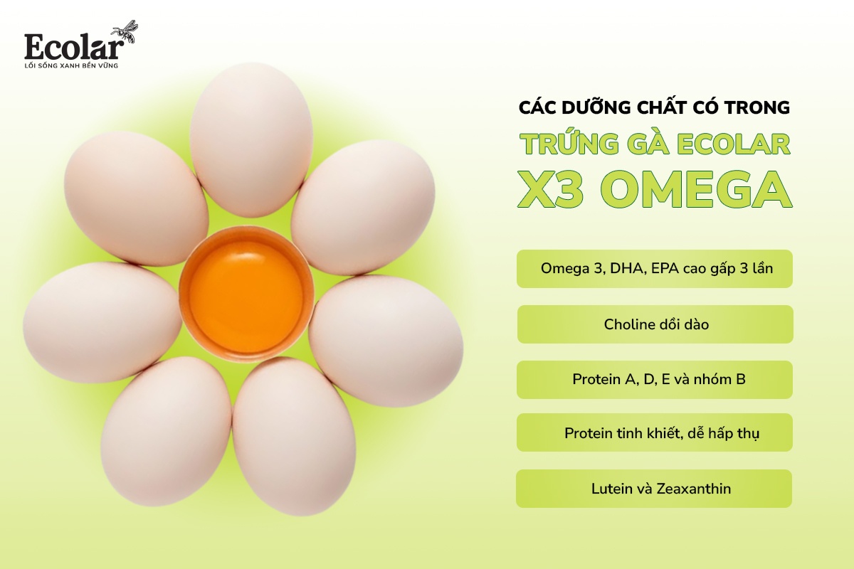 các dưỡng chất có trong trứng