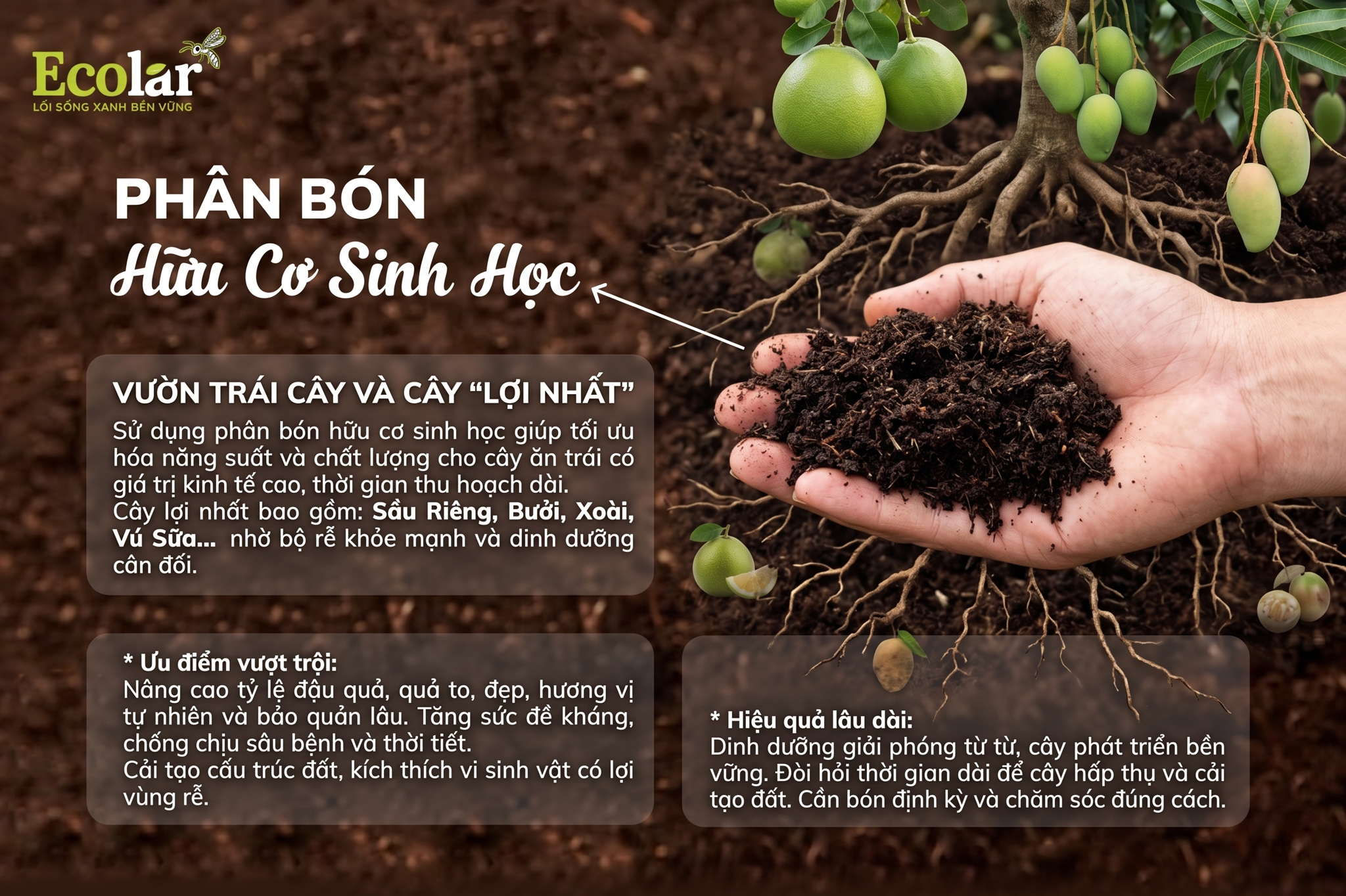 Cây ăn trái (vườn trái cây): Cây nào 'lợi nhất' khi dùng phân bón hữu cơ sinh học