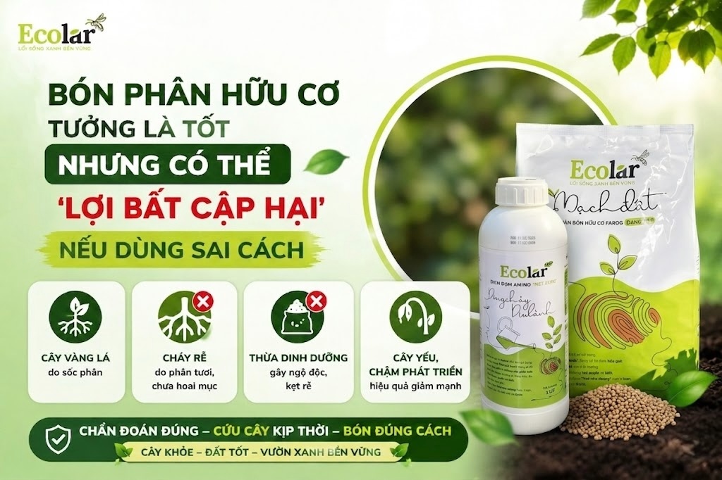 Bón Phân Hữu Cơ: Tưởng Là Tốt Nhưng Có Thể 'Lợi Bất Cập Hại' Nếu Dùng Sai Cách
