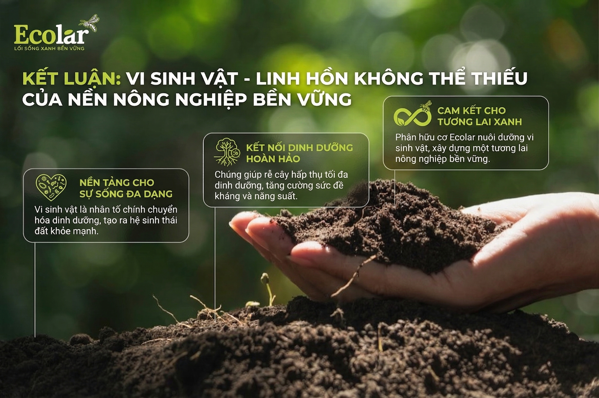 Vi Sinh Vật - Linh Hồn Không Thể Thiếu Của Nền Nông Nghiệp Bền Vững