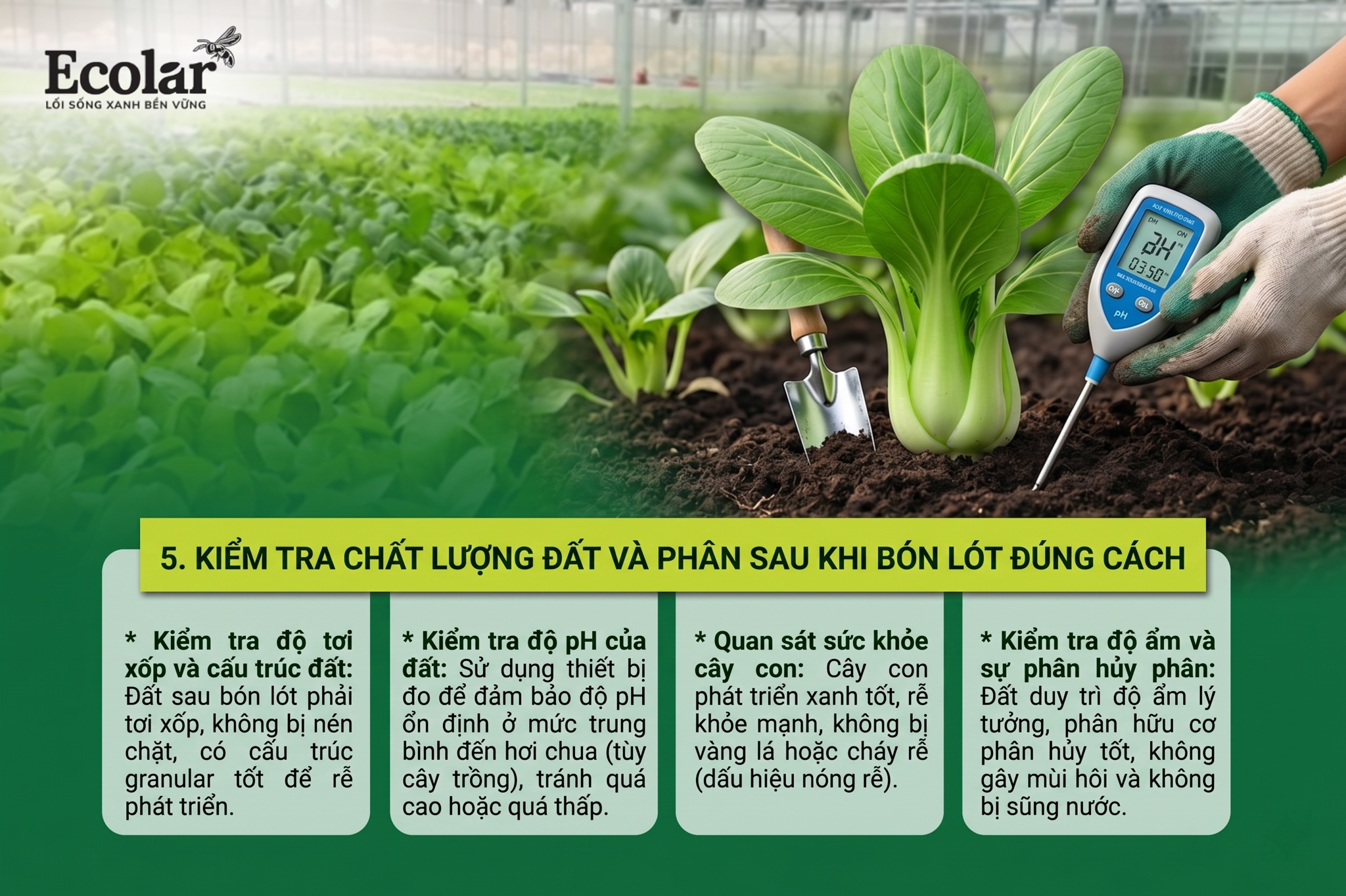 Kiểm tra chất lượng đất và phân sau khi bón lót bằng phân hữu cơ đúng cách