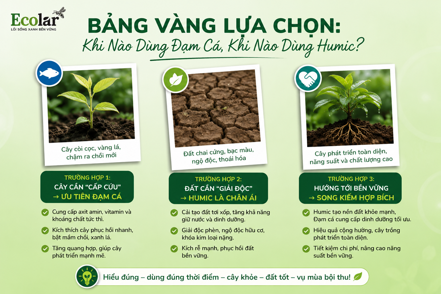 Bảng Vàng Lựa Chọn: Khi Nào Dùng Đạm Cá, Khi Nào Dùng Humic?