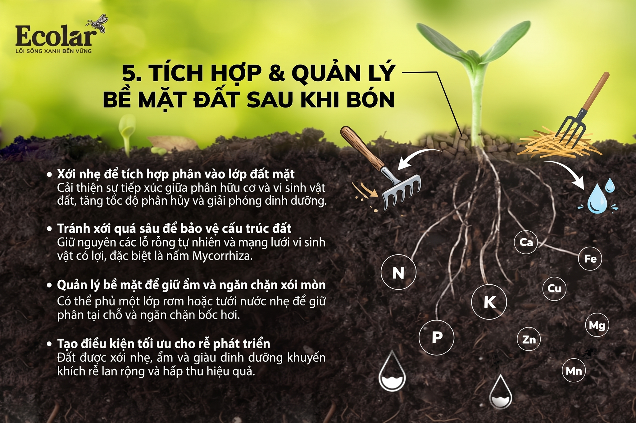 Xử lý đất sau khi rải: tích hợp nhẹ và quản lý bề mặt