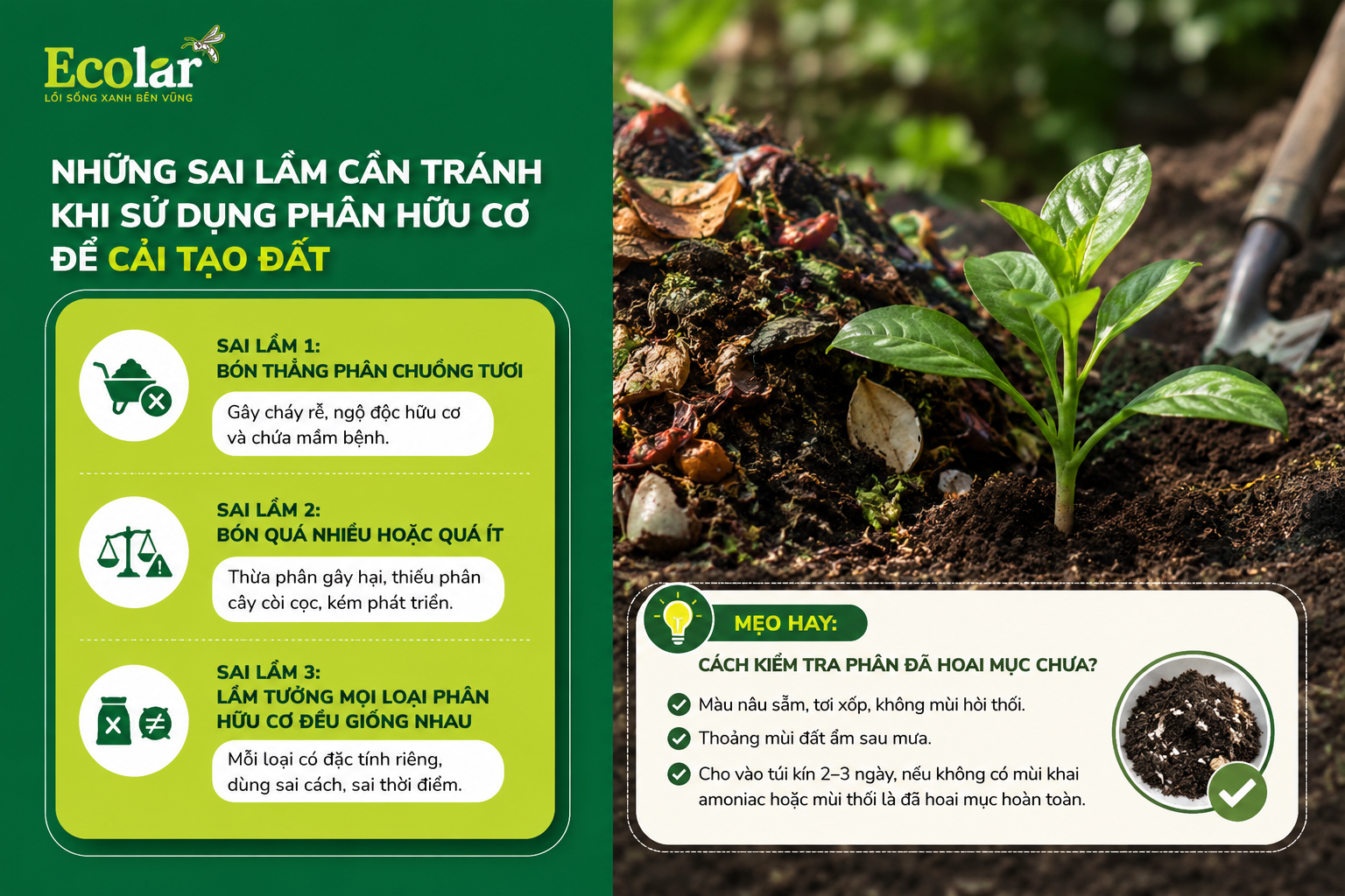 Những Sai Lầm Cần Tránh Khi Sử Dụng Phân Hữu Cơ Để Cải Tạo Đất