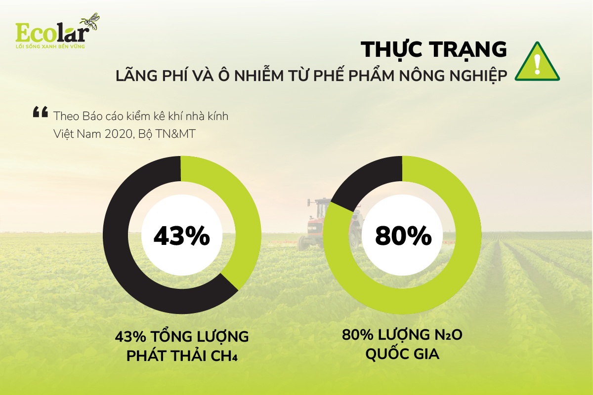 Thực trạng lãng phí và ô nhiễm từ phế phẩm nông nghiệp