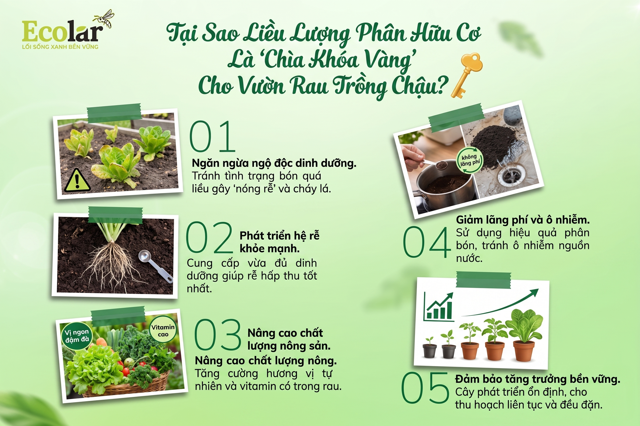 hia-khoa-vang-cho-vuon-rau-trong-chau_8b3103efaa90493182101c36b9dfcaa3.png