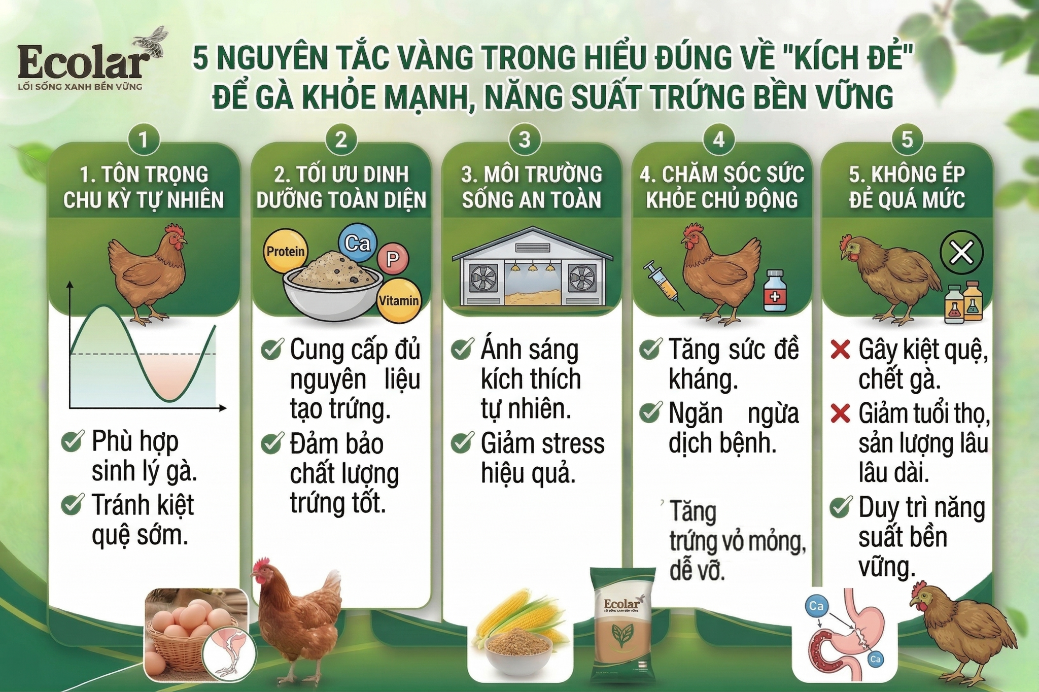 Hiểu đúng về 'Kích Đẻ' – Tối ưu tiềm năng thay vì ép buộc