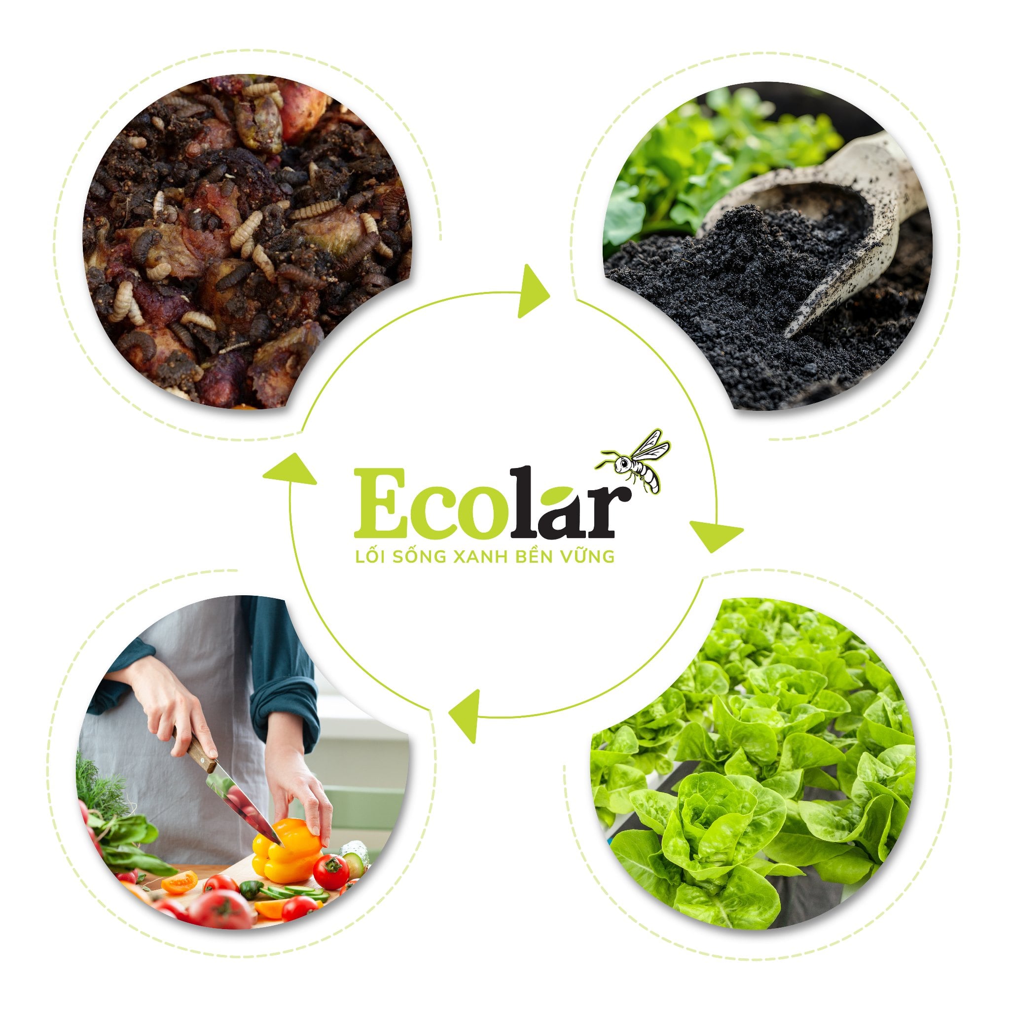 Ecolar hướng đến áp dụng tư duy kinh tế tuần hoàn sinh học vào đời sống nông nghiệp