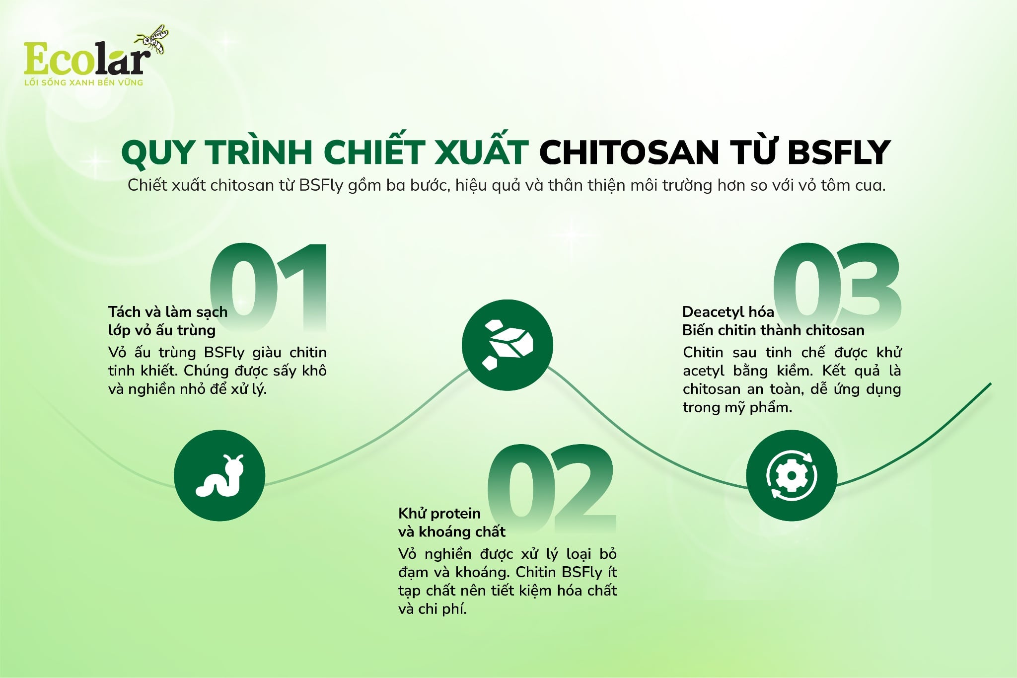 Quy trình chiết xuất chitosan từ BSFly