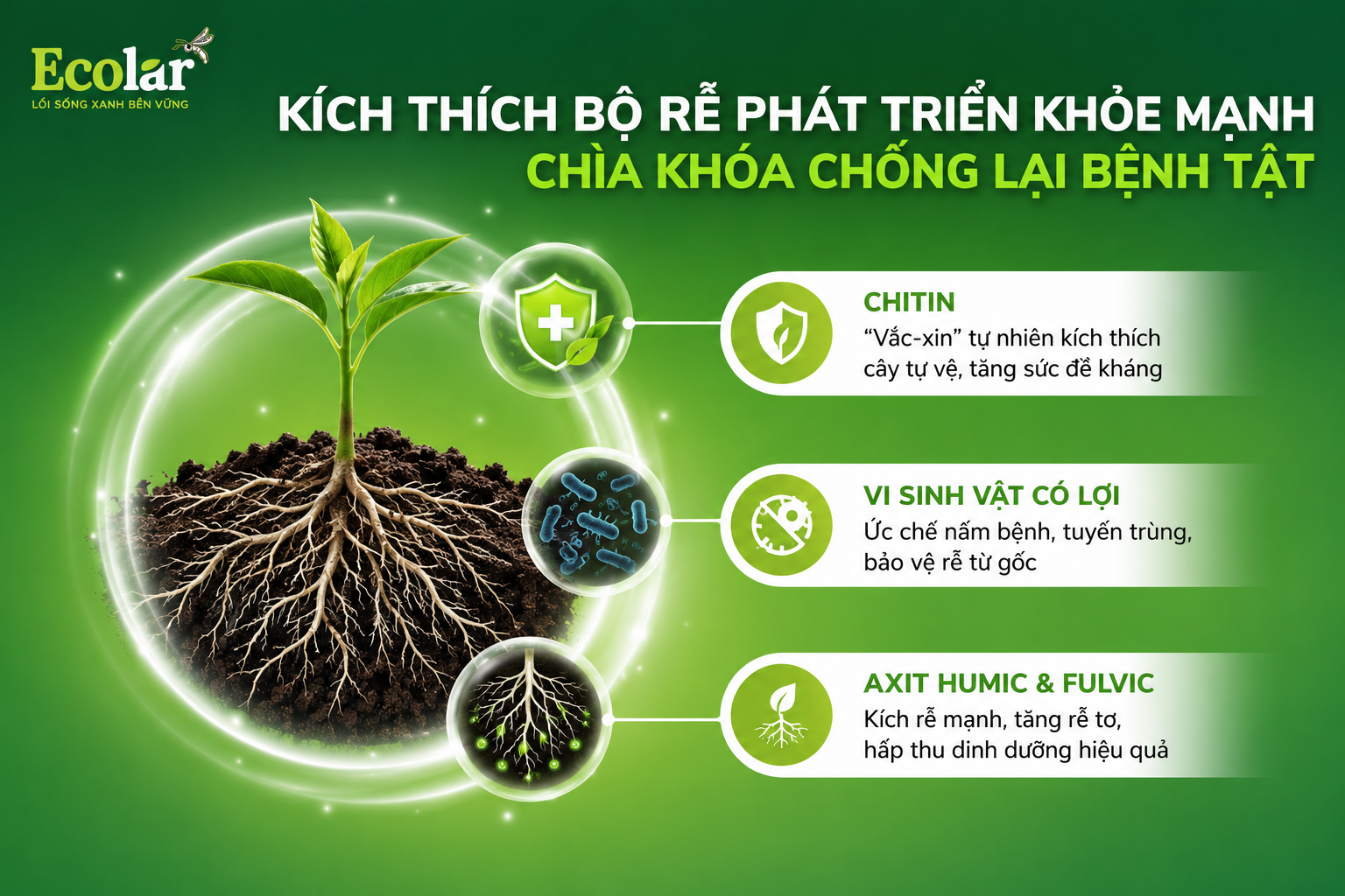 Kích Thích Bộ Rễ Phát Triển Khỏe Mạnh - Chìa Khóa Chống Lại Bệnh Tật