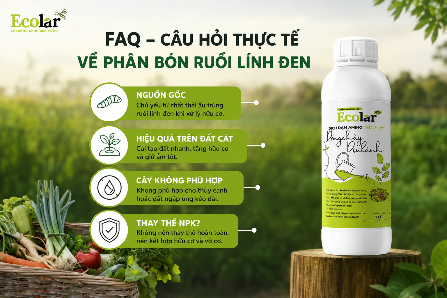 FAQ - Câu hỏi thực tế về phân bón ruồi lính đen