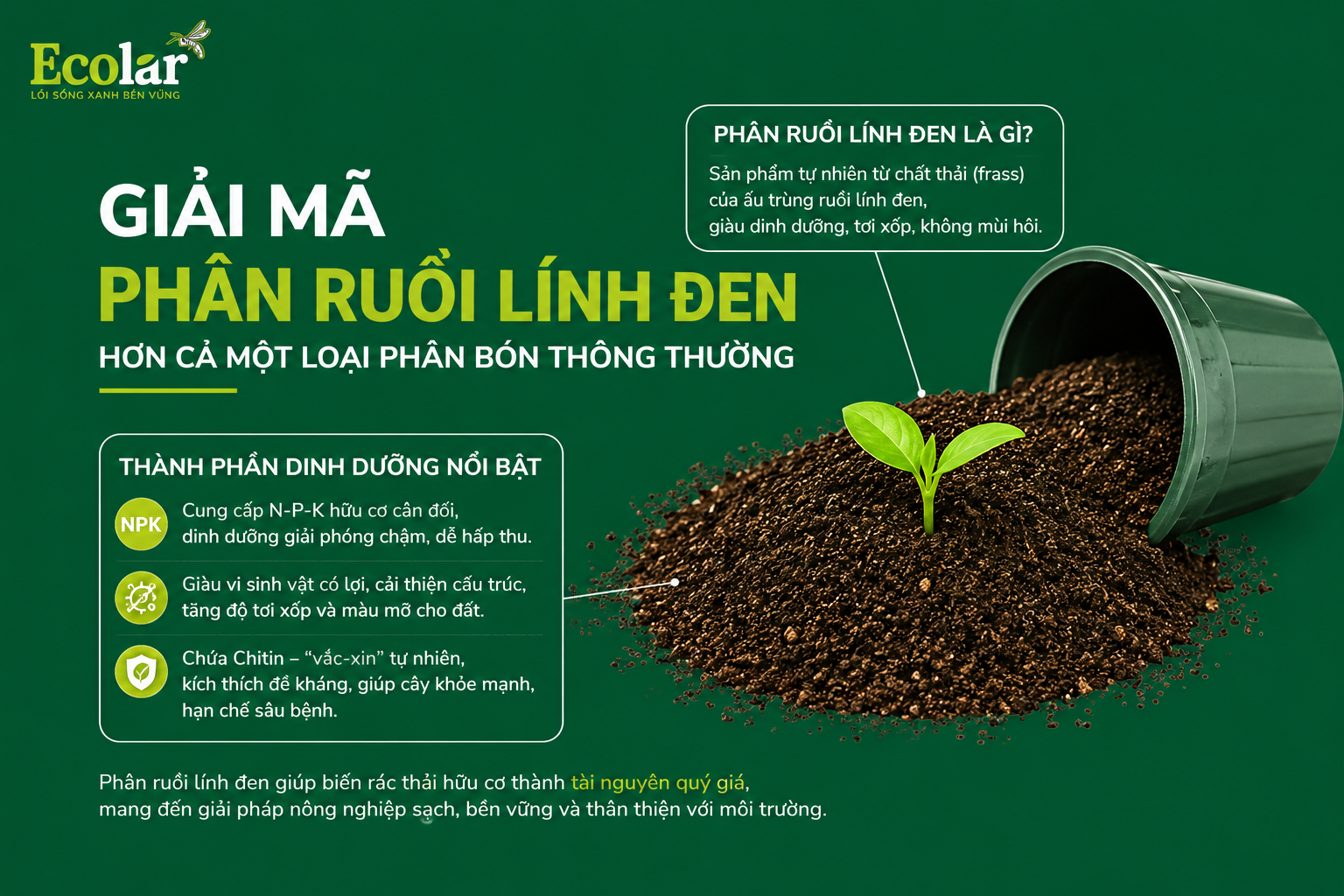 Giải Mã Phân Ruồi Lính Đen: Hơn Cả Một Loại Phân Bón Thông Thường