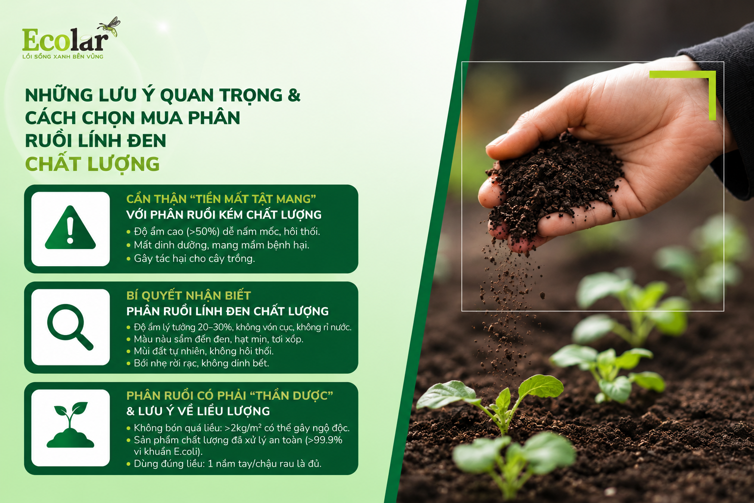Những Lưu Ý Quan Trọng & Cách Chọn Mua Phân Ruồi Lính Đen Chất Lượng