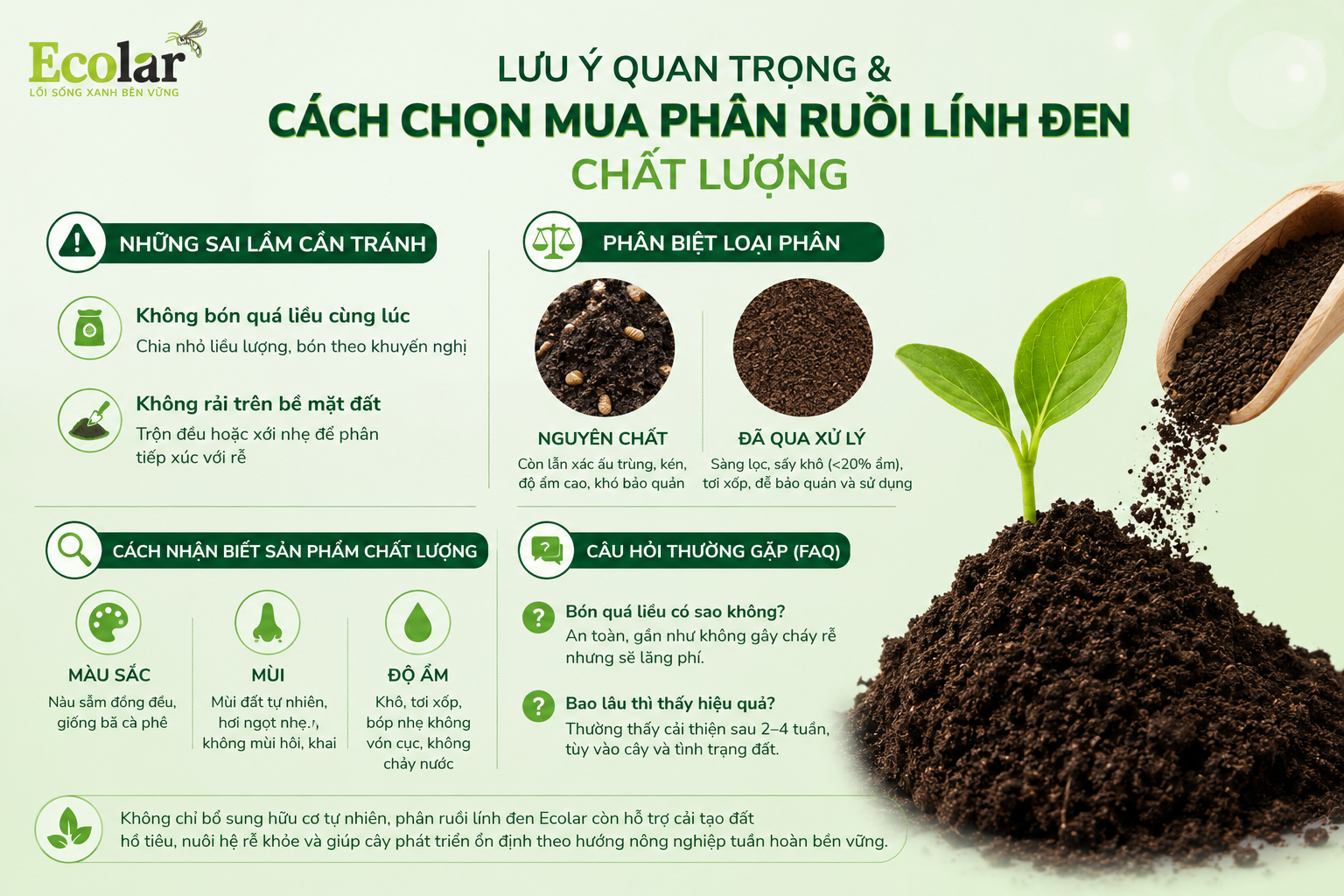 Lưu Ý Quan Trọng & Cách Chọn Mua Phân Ruồi Lính Đen Chất Lượng