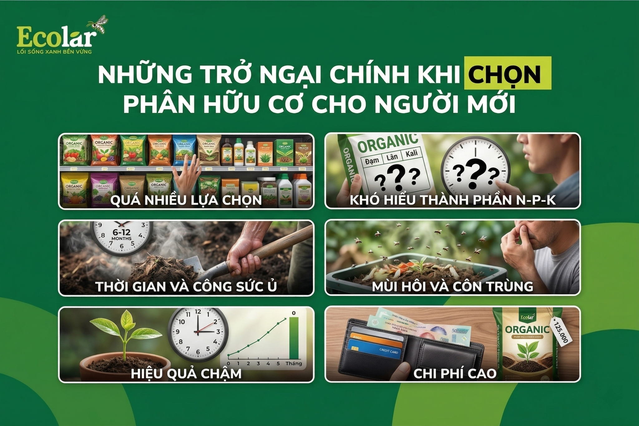 Tại Sao Chọn Phân Hữu Cơ Lại Khó Với Người Mới?