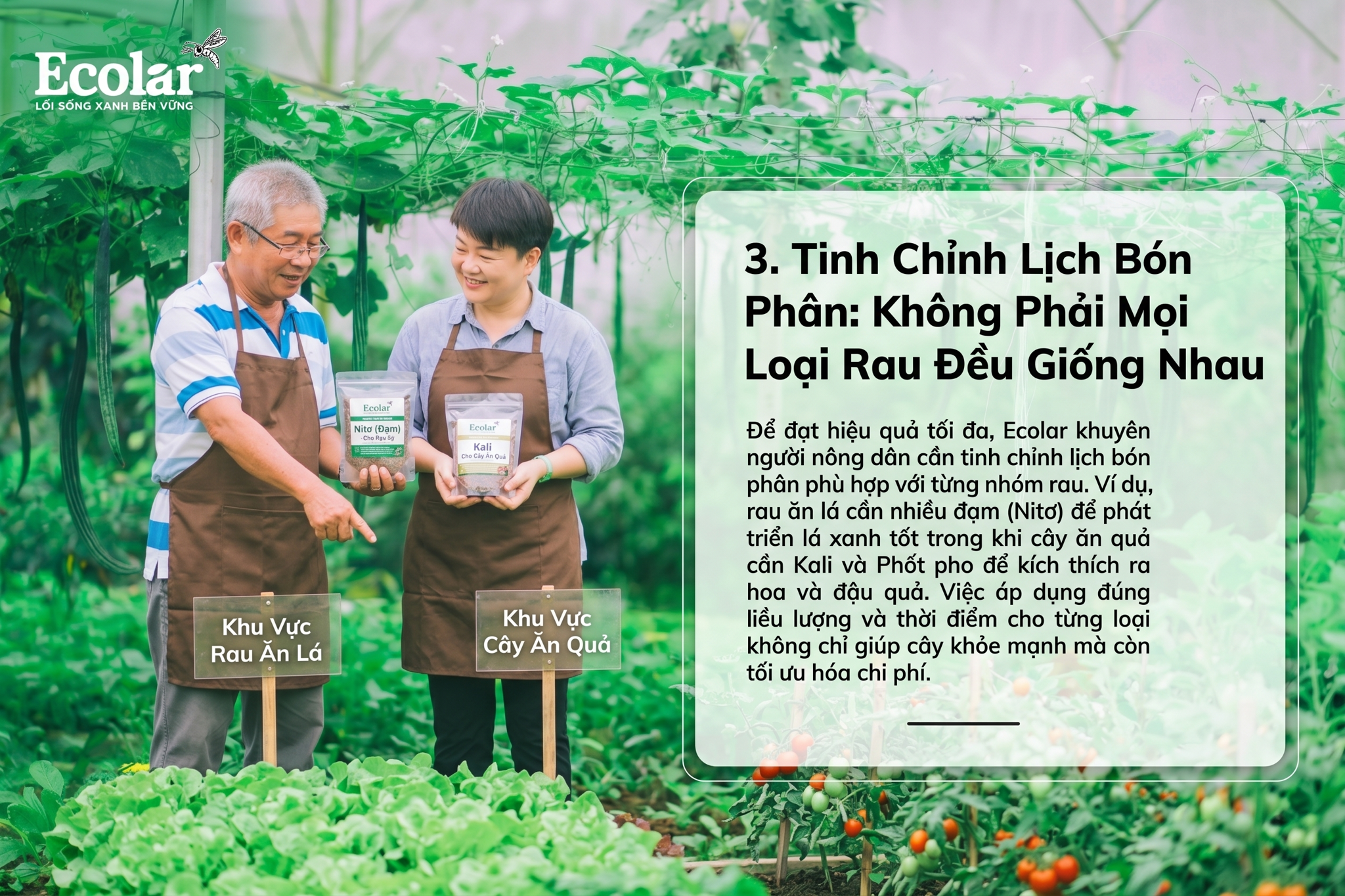 Không Phải Mọi Loại Rau Đều Giống Nhau