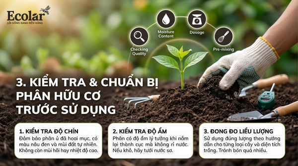Kiểm tra và chuẩn bị phân hữu cơ trước khi sử dụng