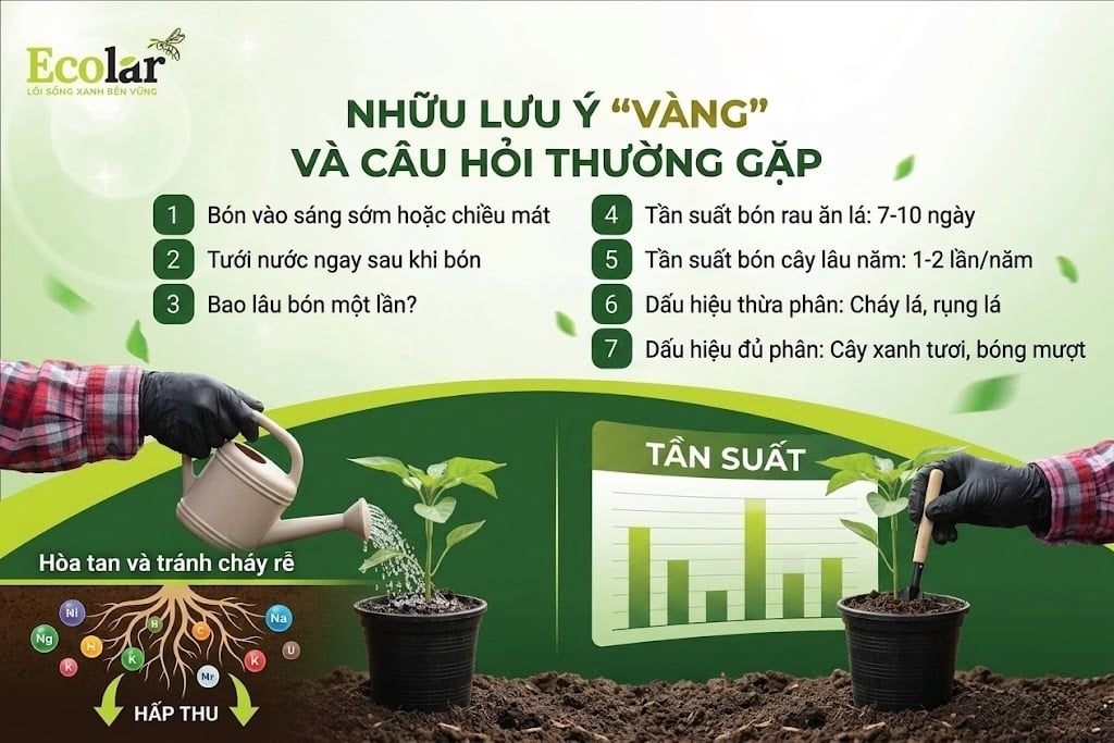 Những Lưu Ý 'Vàng' và Câu Hỏi Thường Gặp