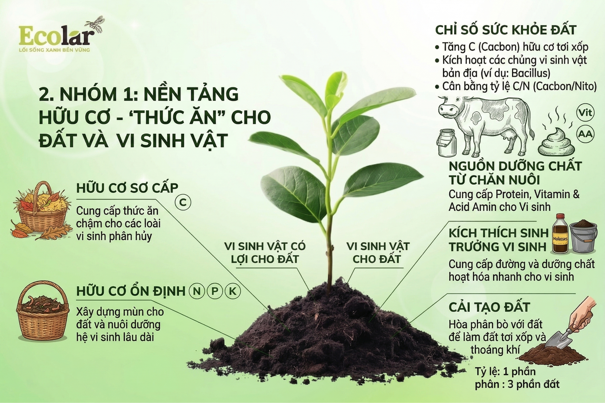 Nền Tảng Hữu Cơ - 