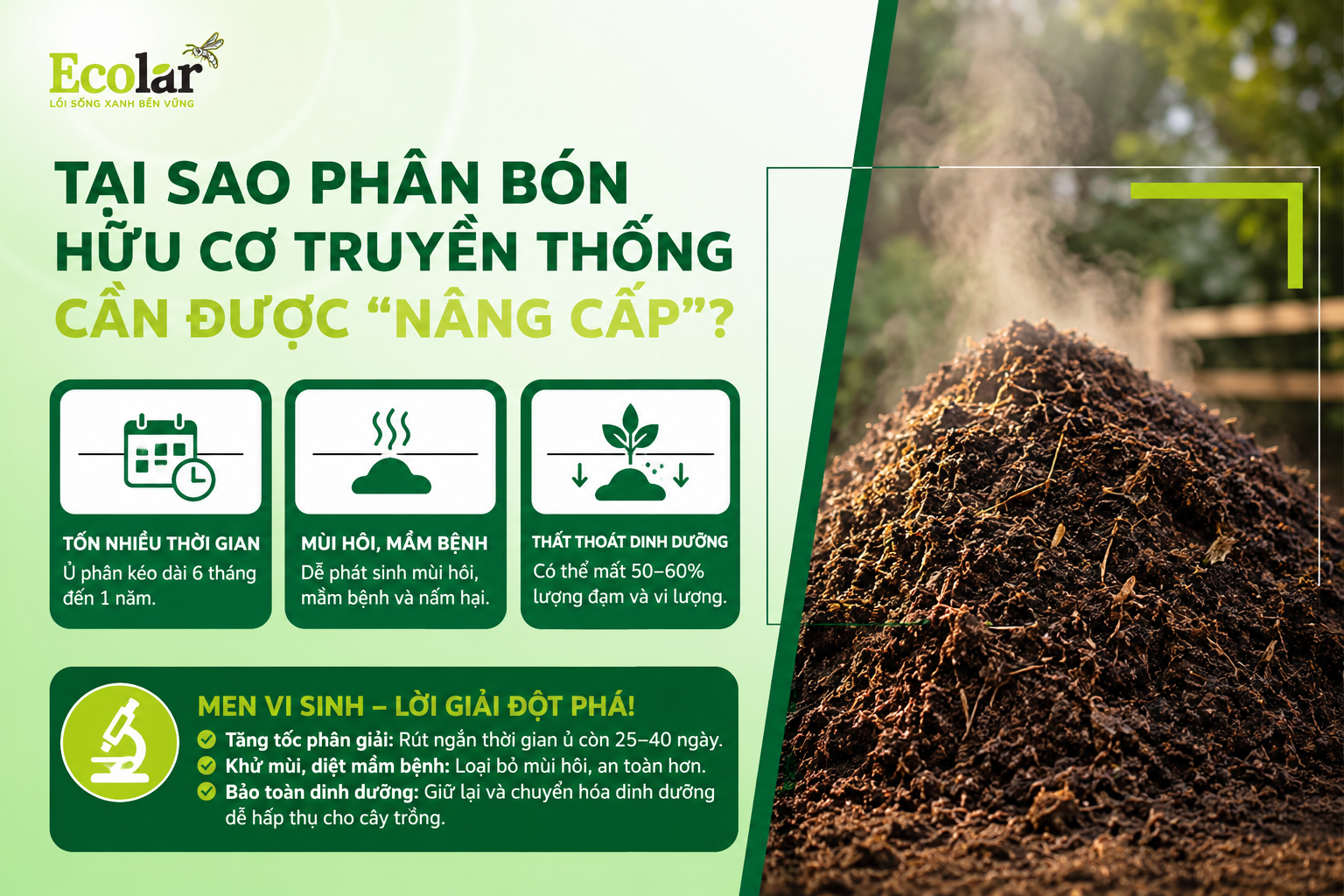 Tại Sao Phân Bón Hữu Cơ Truyền Thống Cần Được 