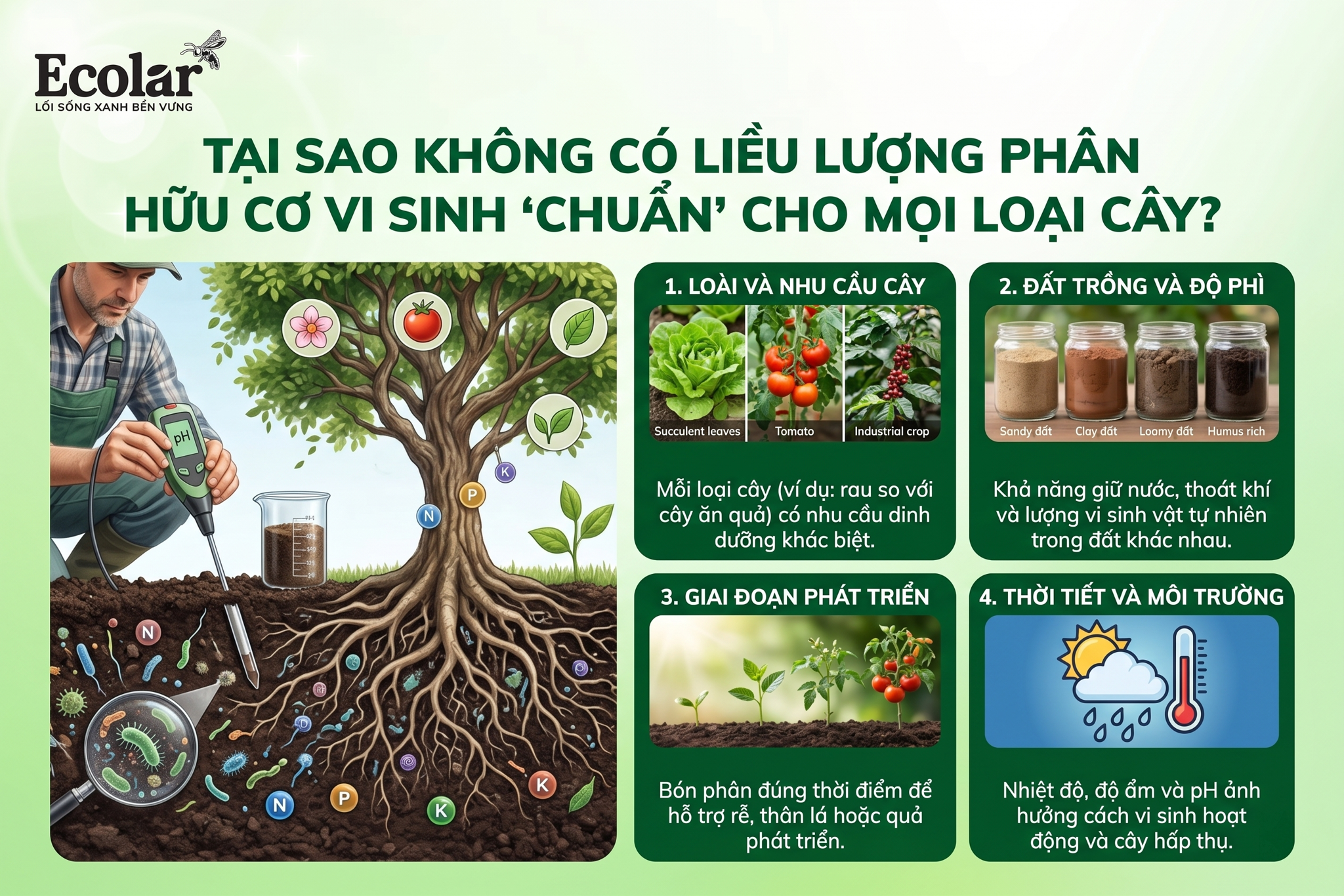 Tại Sao Không Có Một Liều Lượng Phân Hữu Cơ Vi Sinh 'Chuẩn' Cho Mọi Loại Cây?