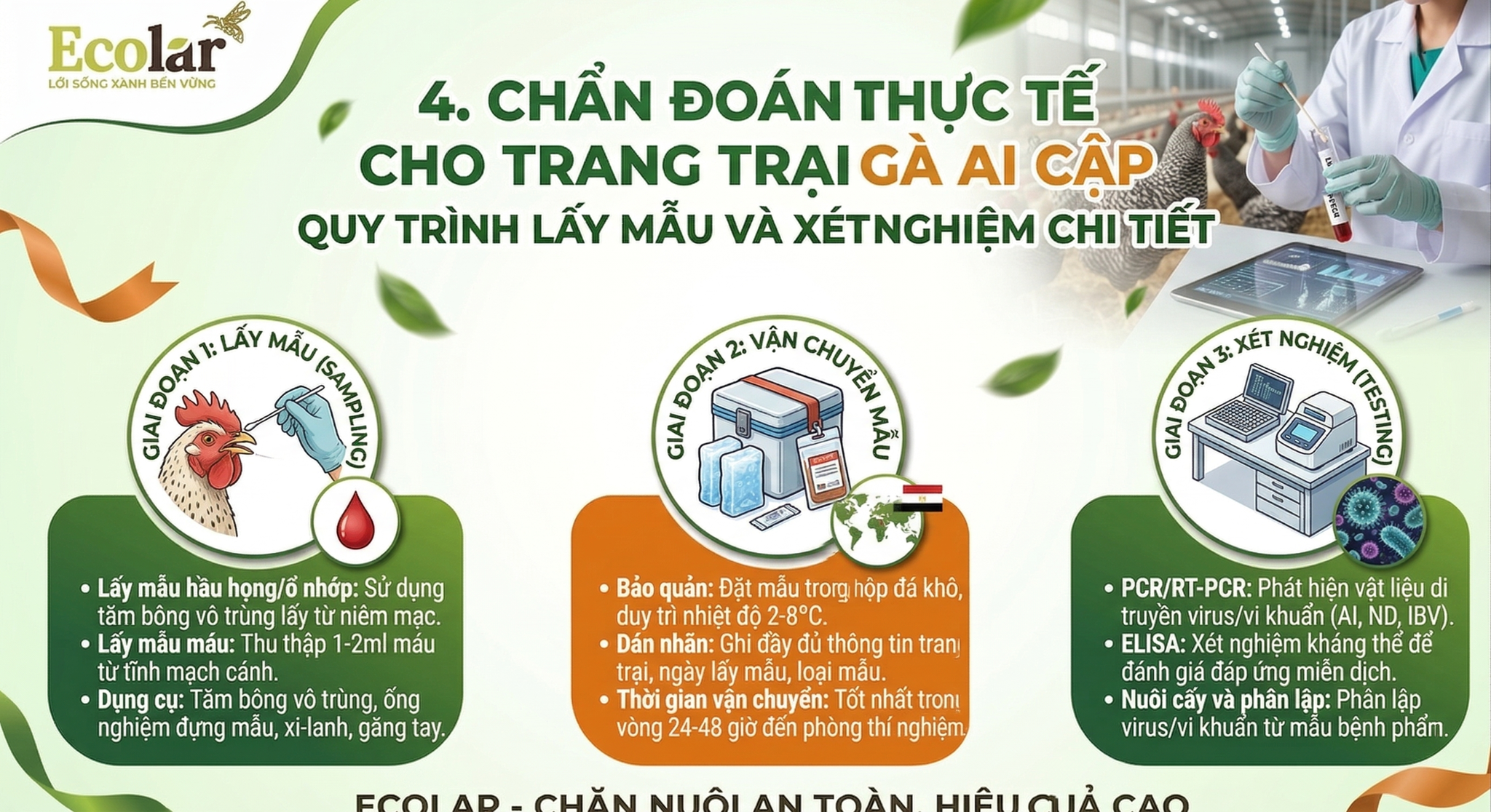 i-cap-quy-trinh-lay-mau-va-xet-nghiem_da6d01fb5e164b359e2ac53d198dfb34.png