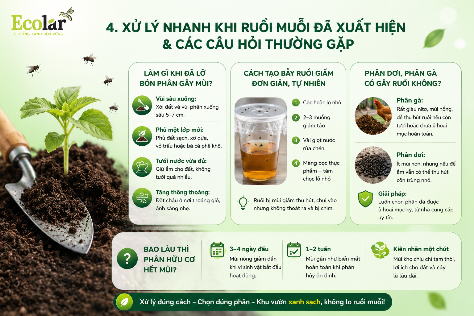 Xử Lý Nhanh Khi Ruồi Muỗi Đã Xuất Hiện & Các Câu Hỏi Thường Gặp