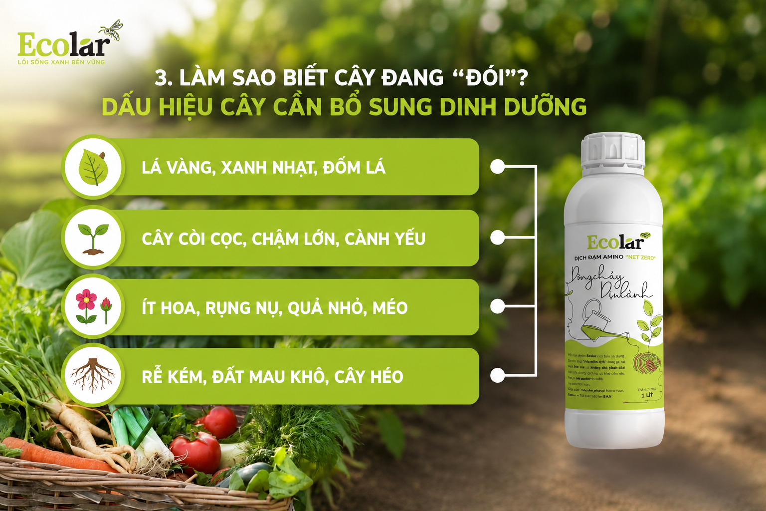 Làm Sao Biết Cây Đang 
